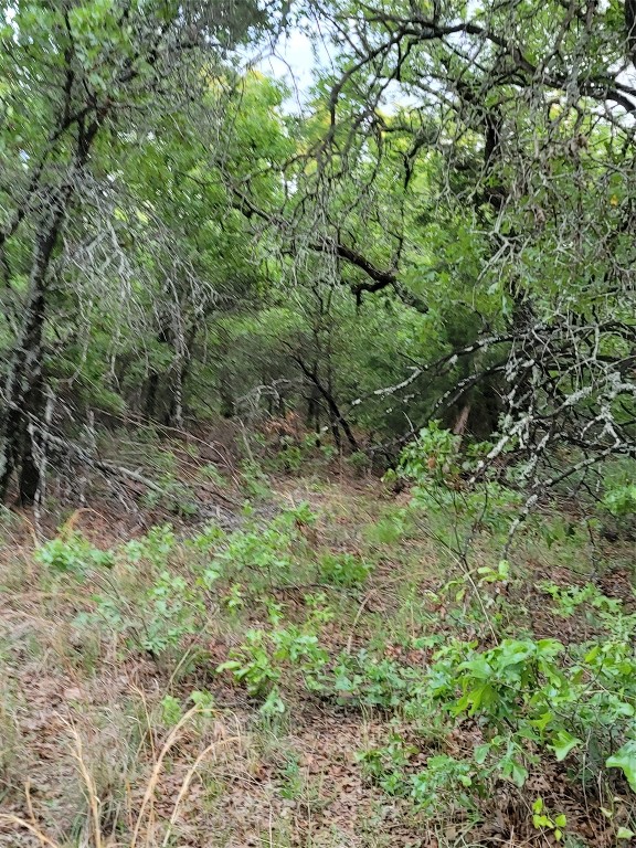 00000 Highway 59 S Bowie TX 76230
