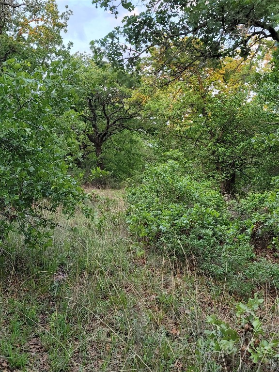 00000 Highway 59 S Bowie TX 76230