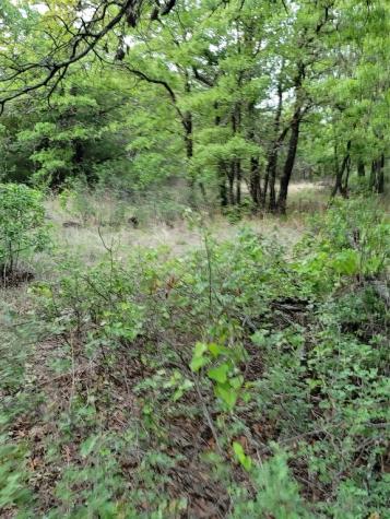 00000 Highway 59 S Bowie TX 76230