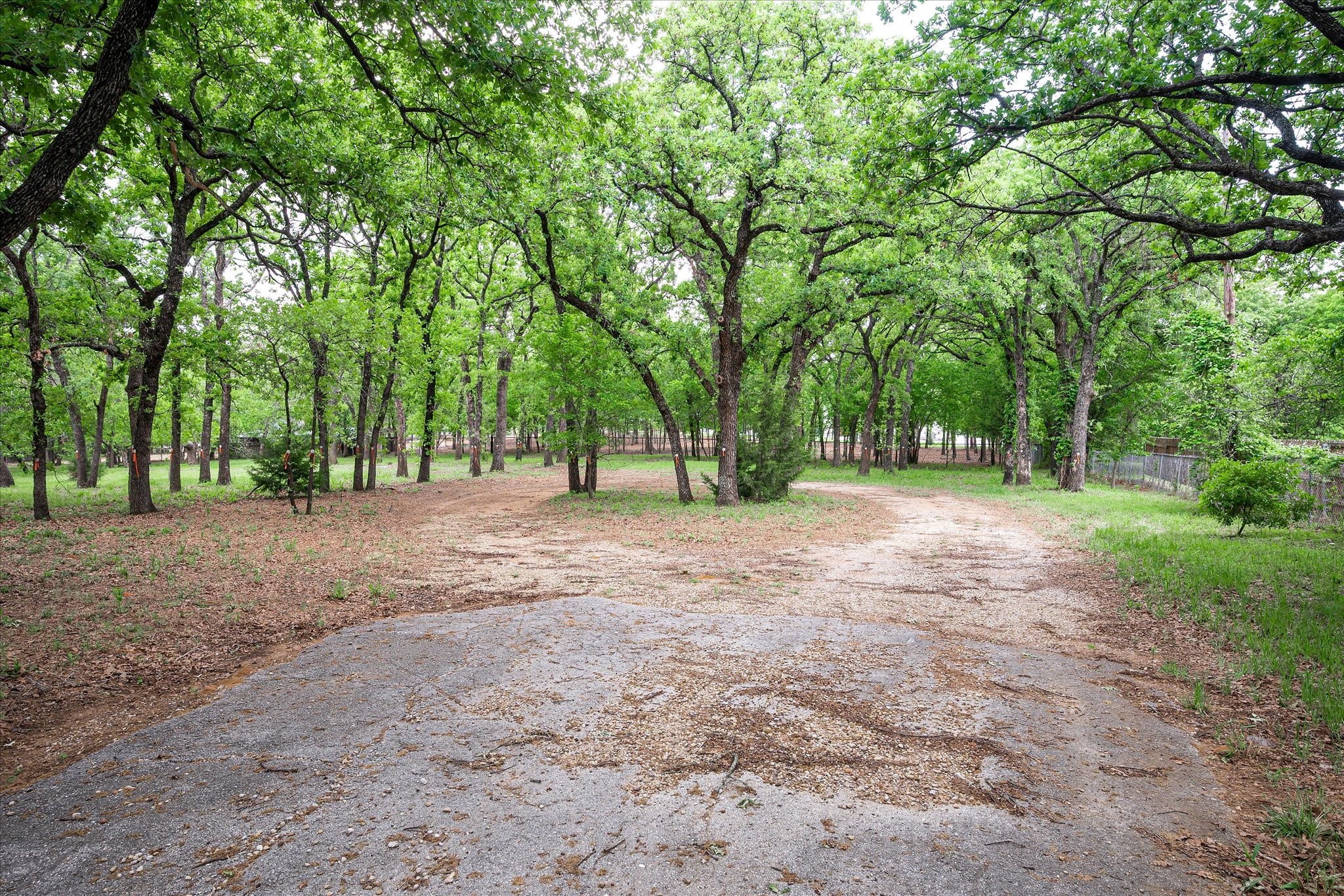 569 Lavena Street Keller TX 76248