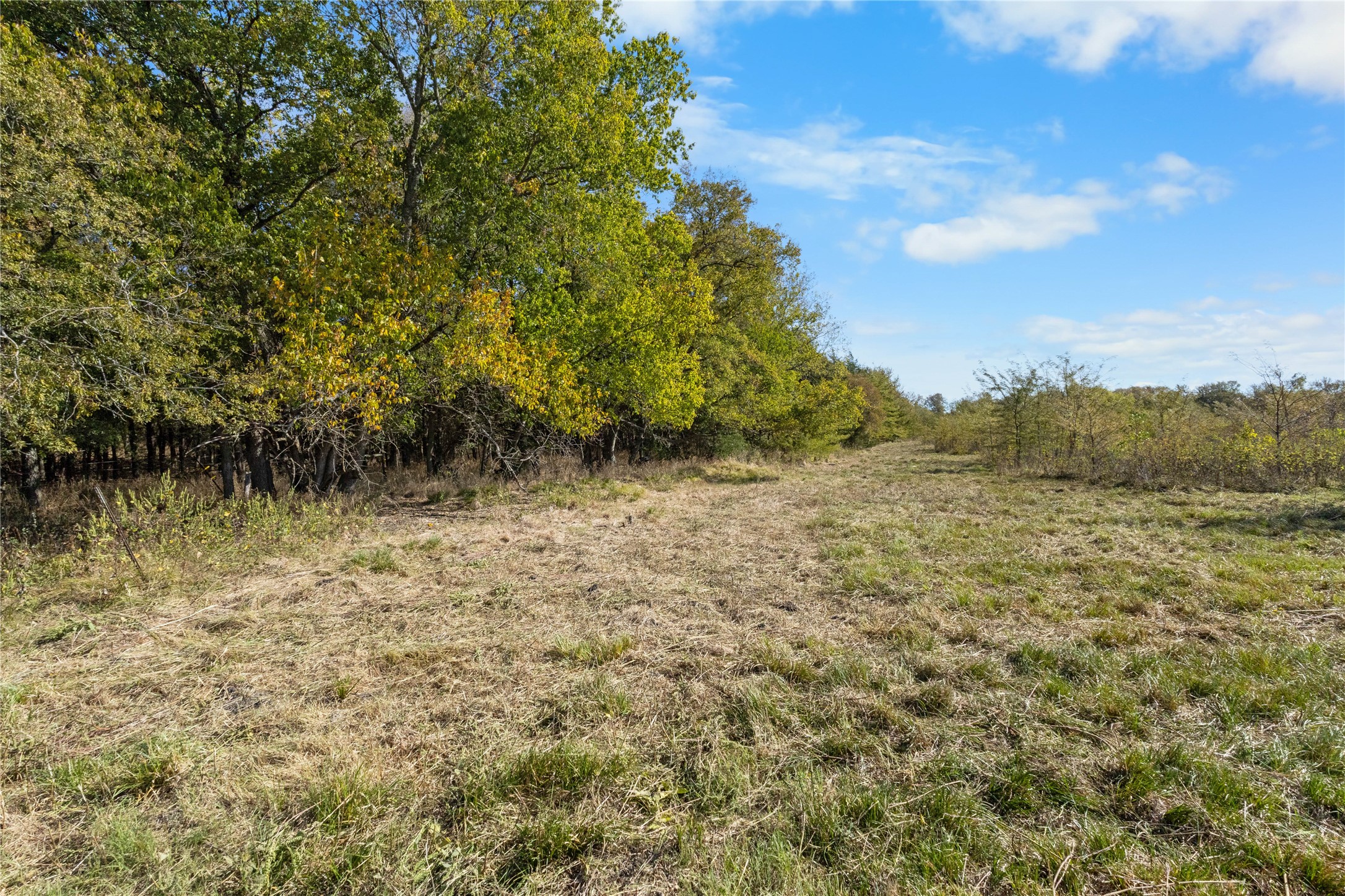 Tbd Fm 1528 Cooper TX 75432