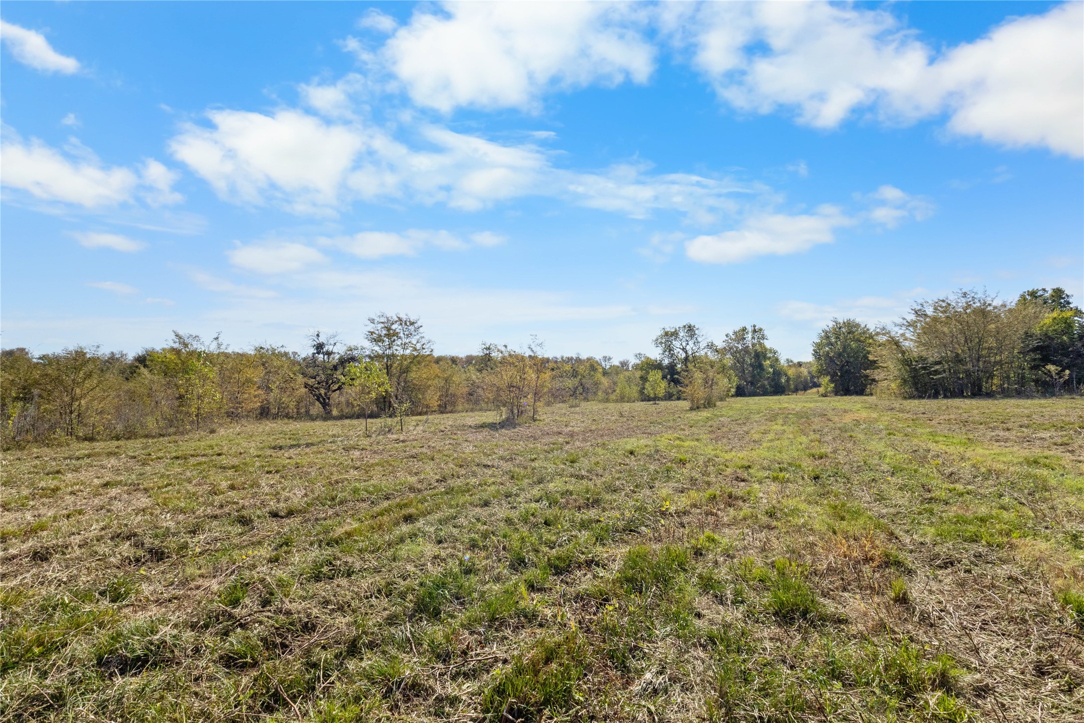 Tbd Fm 1528 Cooper TX 75432