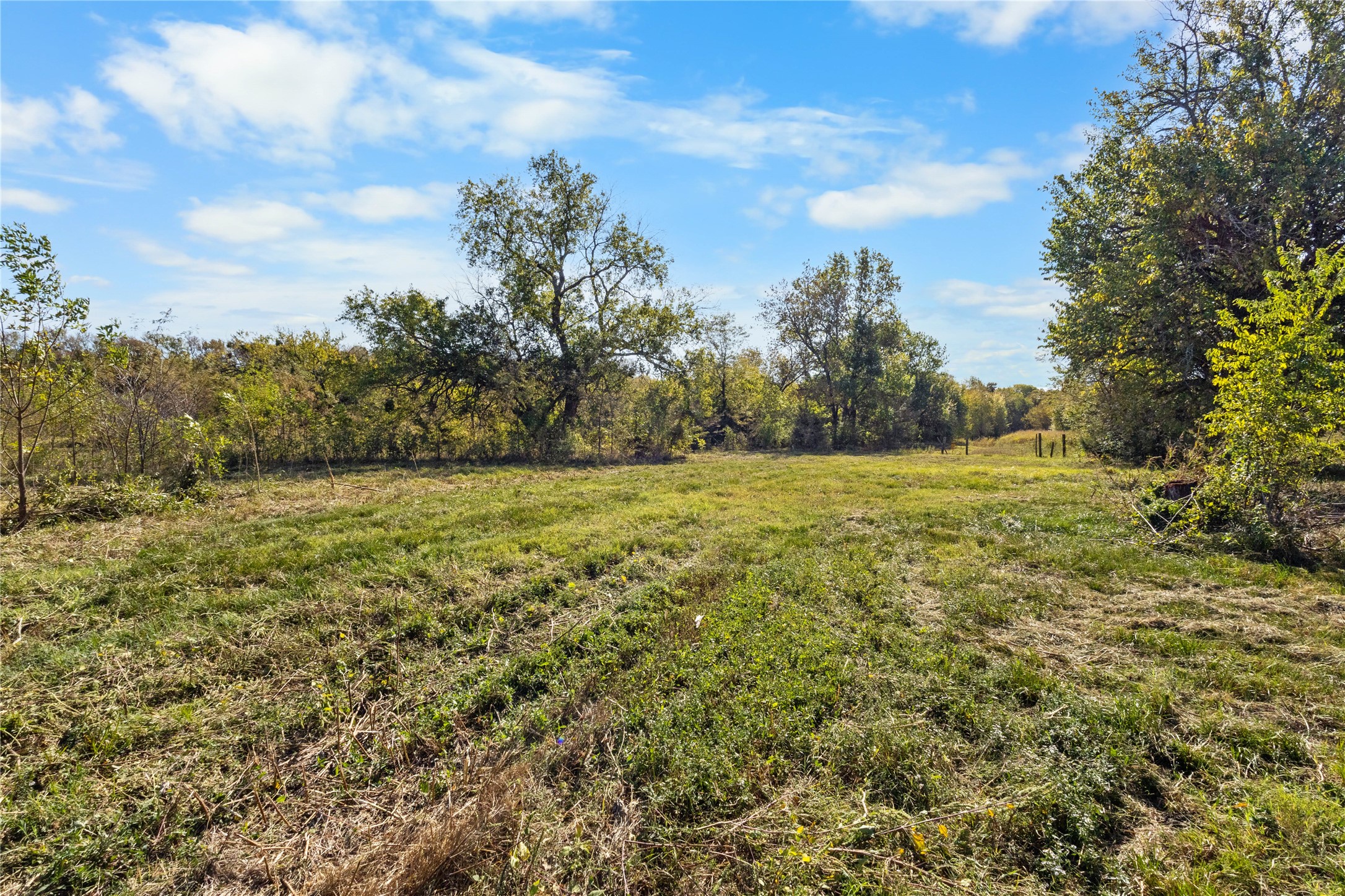 Tbd Fm 1528 Cooper TX 75432