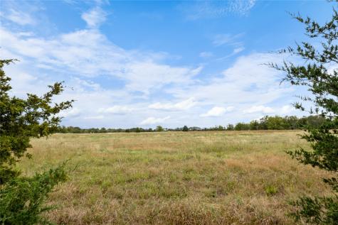 Tbd Fm 1528 Cooper TX 75432