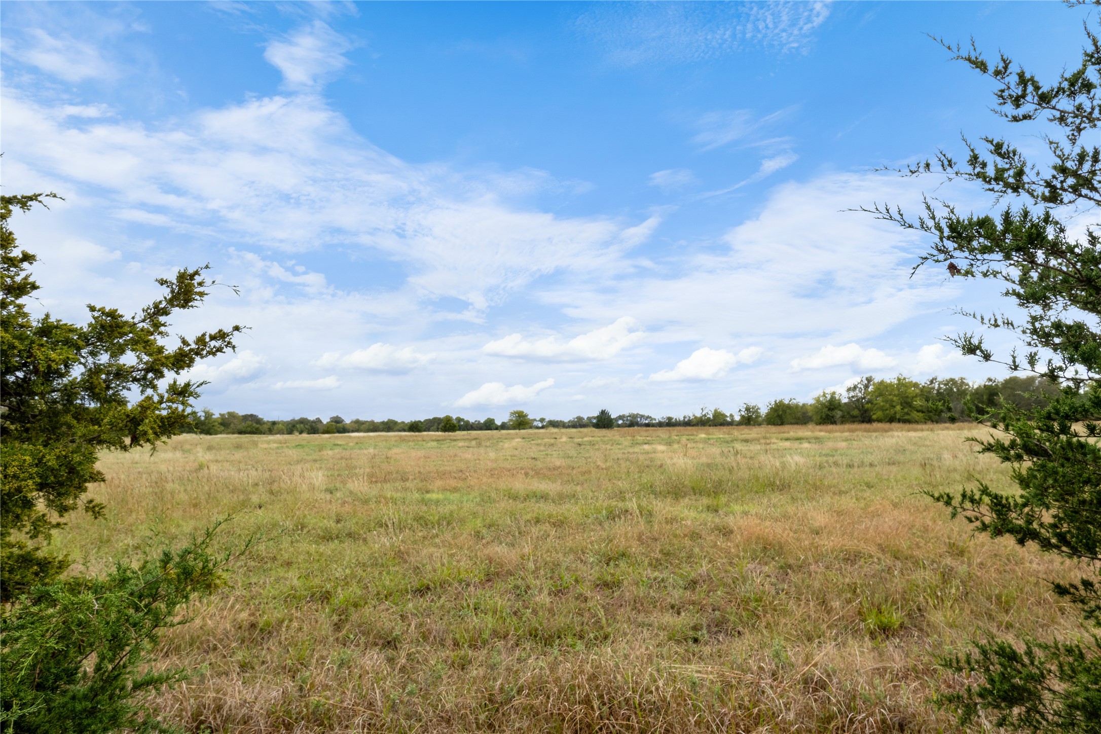 Tbd Fm 1528 Cooper TX 75432