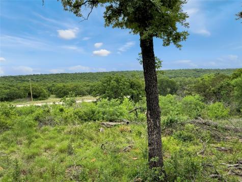 TBD Hoahway Drive Mingus TX 76463