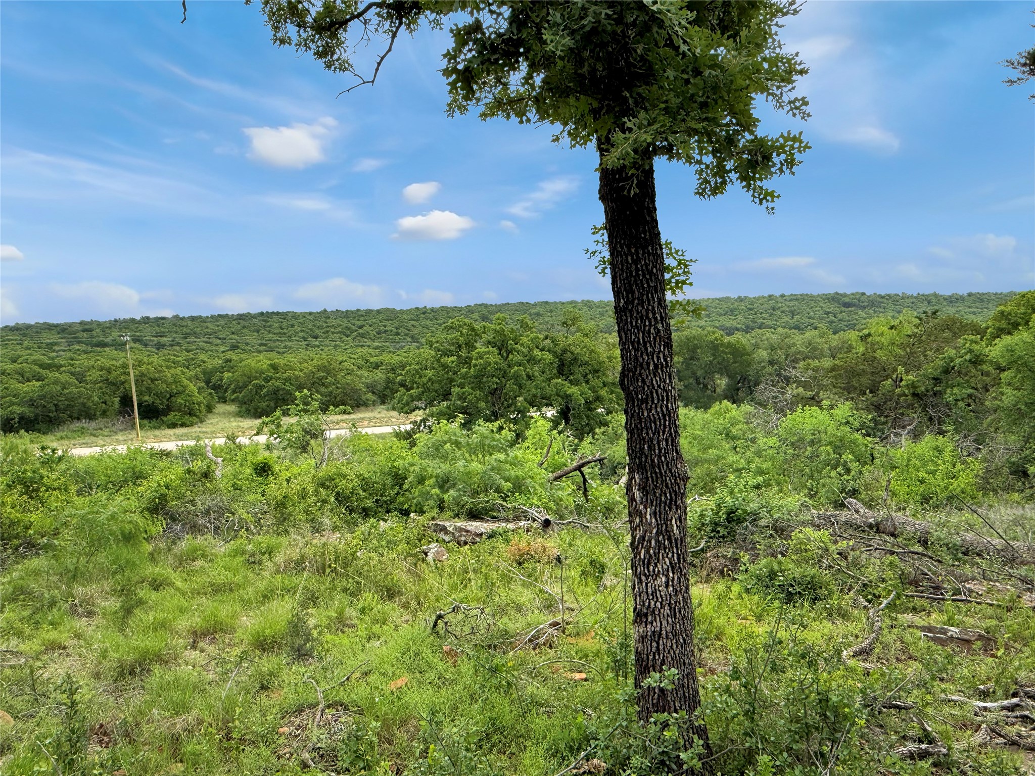 Tbd Hoahway Drive Mingus TX 76463