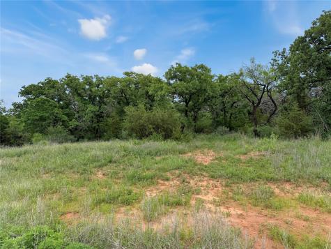 TBD Hoahway Drive Mingus TX 76463