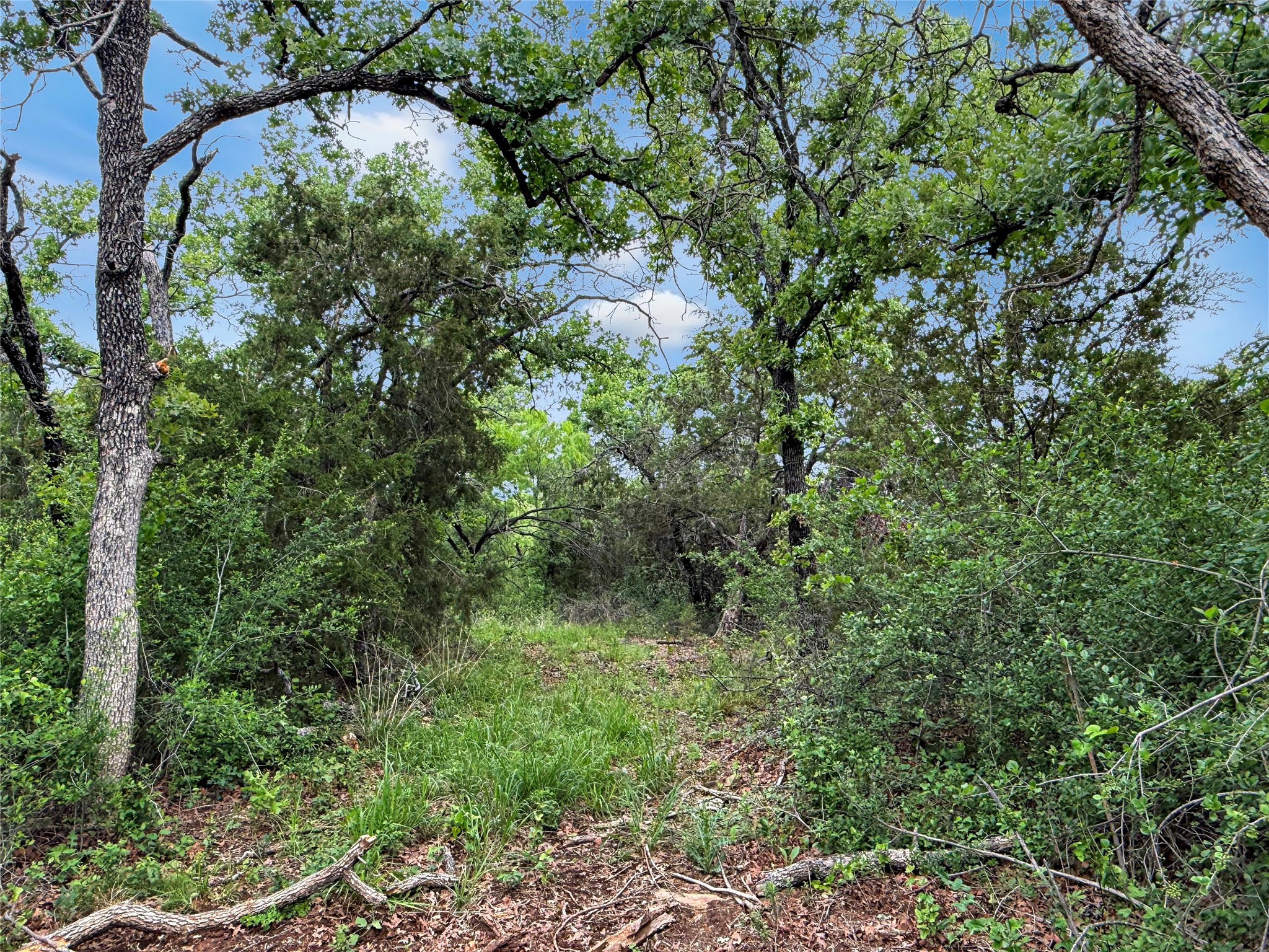 Tbd Hoahway Drive Mingus TX 76463