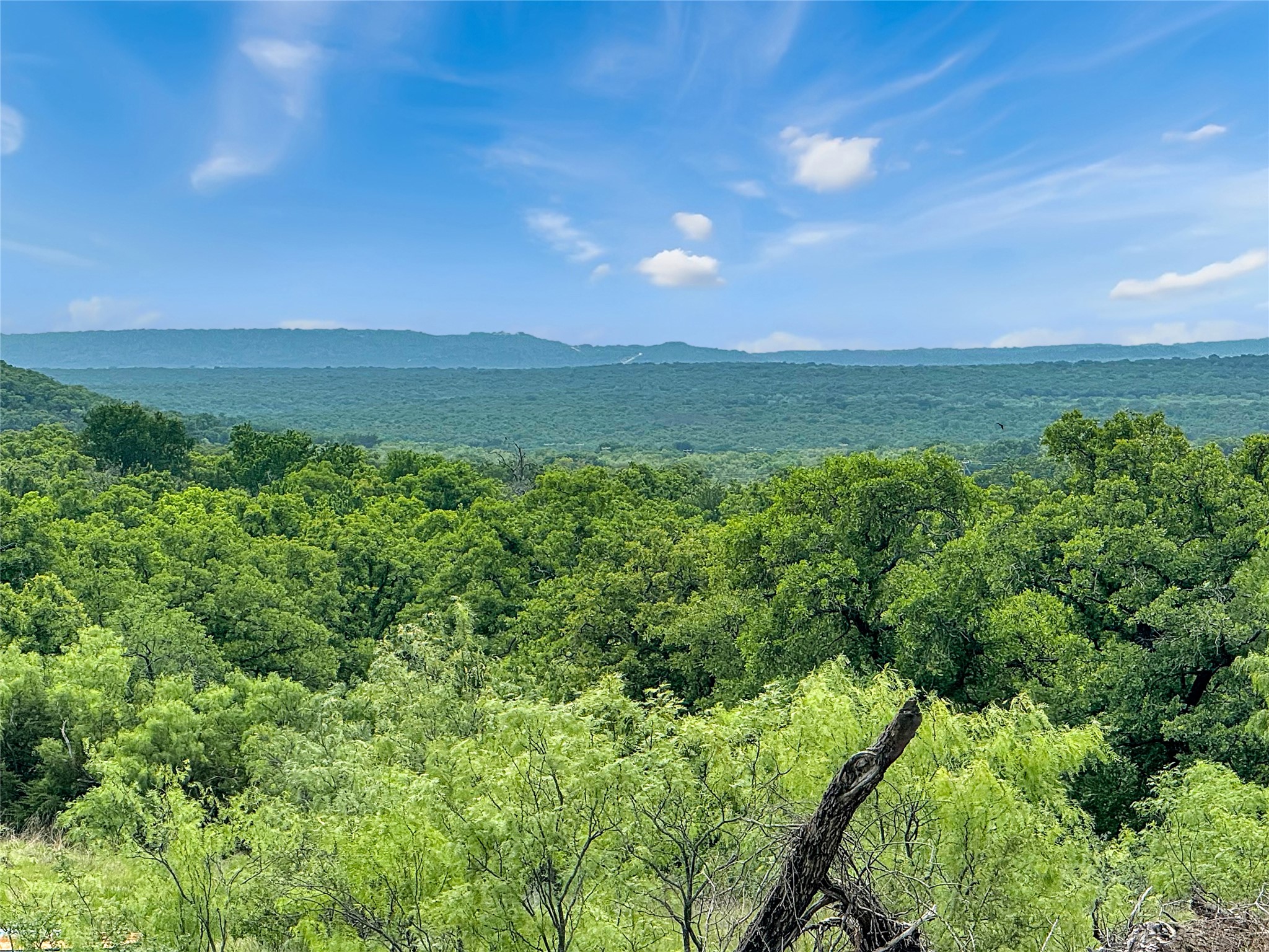 Tbd Hoahway Drive Mingus TX 76463