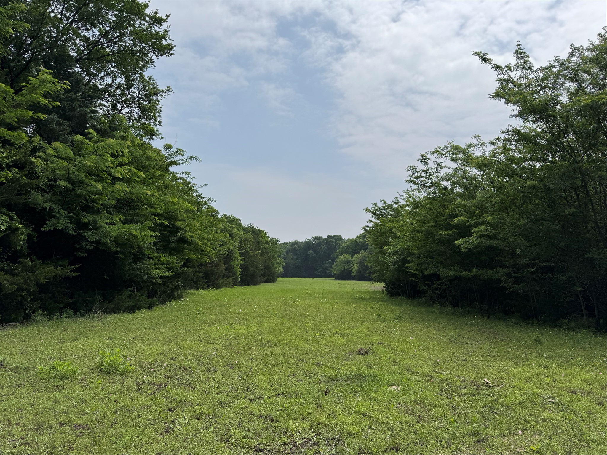 6910 County Road 1218 Mckinney TX 75071