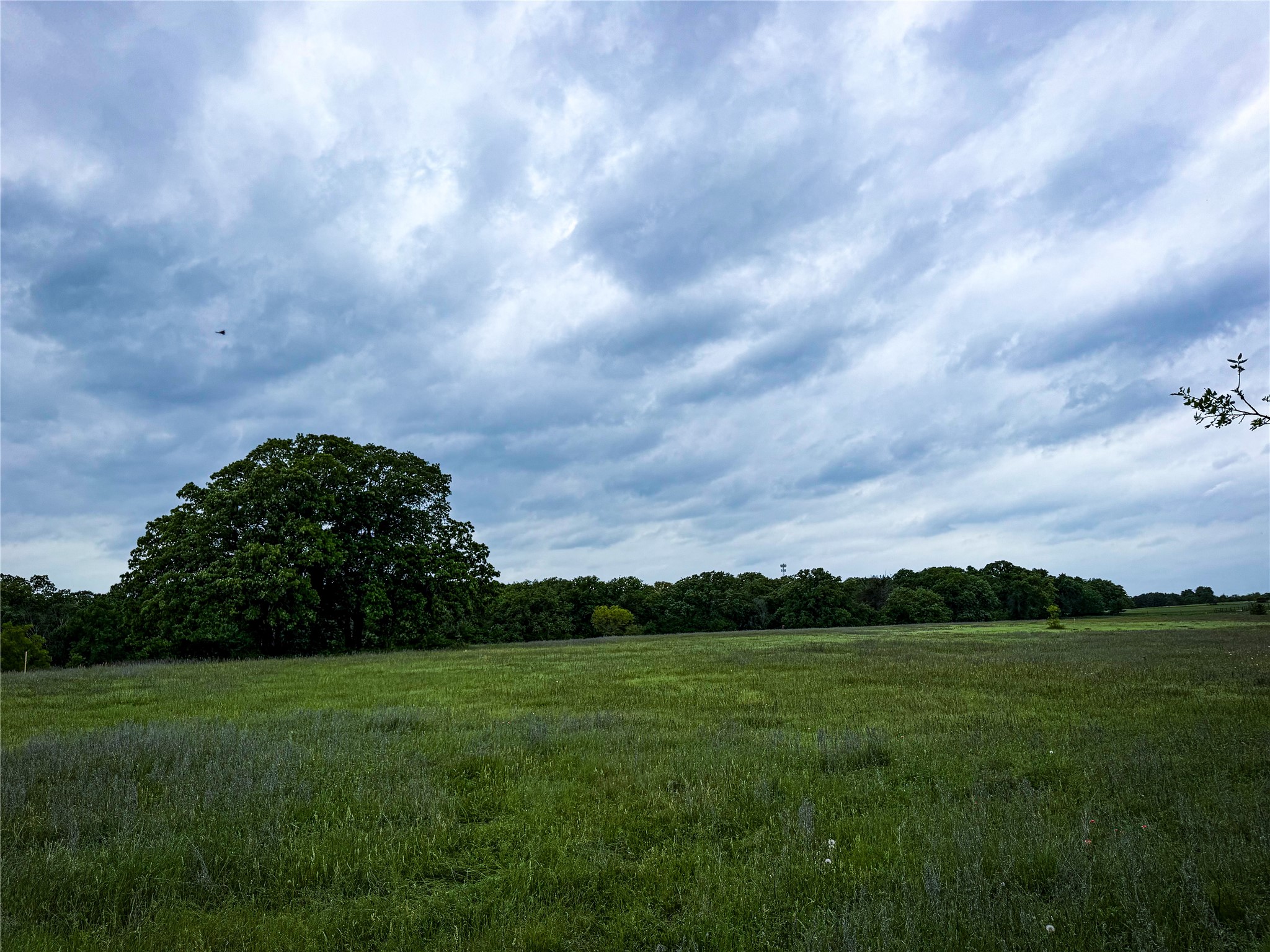 201 Campbell Lane Springtown TX 76082
