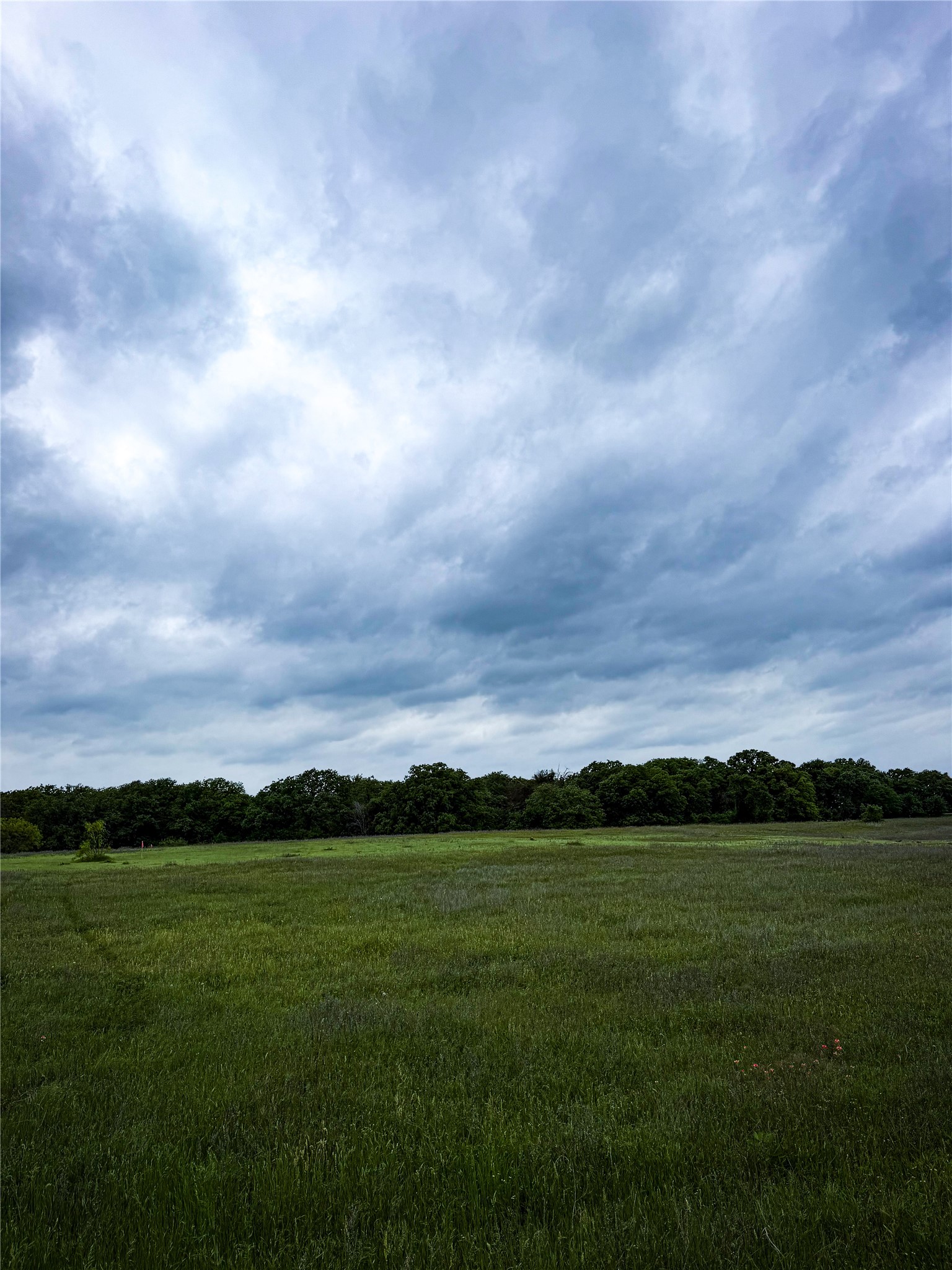 201 Campbell Lane Springtown TX 76082
