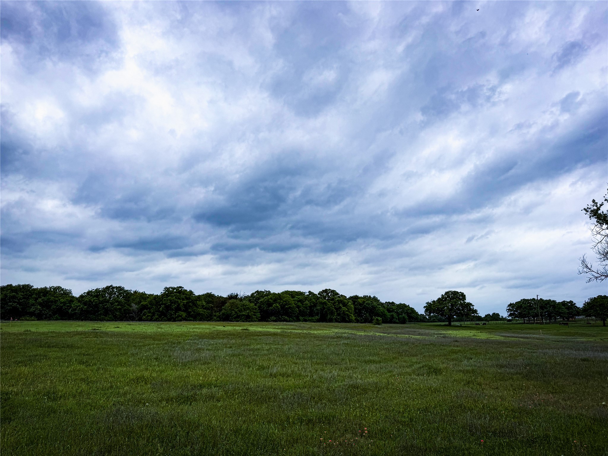 201 Campbell Lane Springtown TX 76082