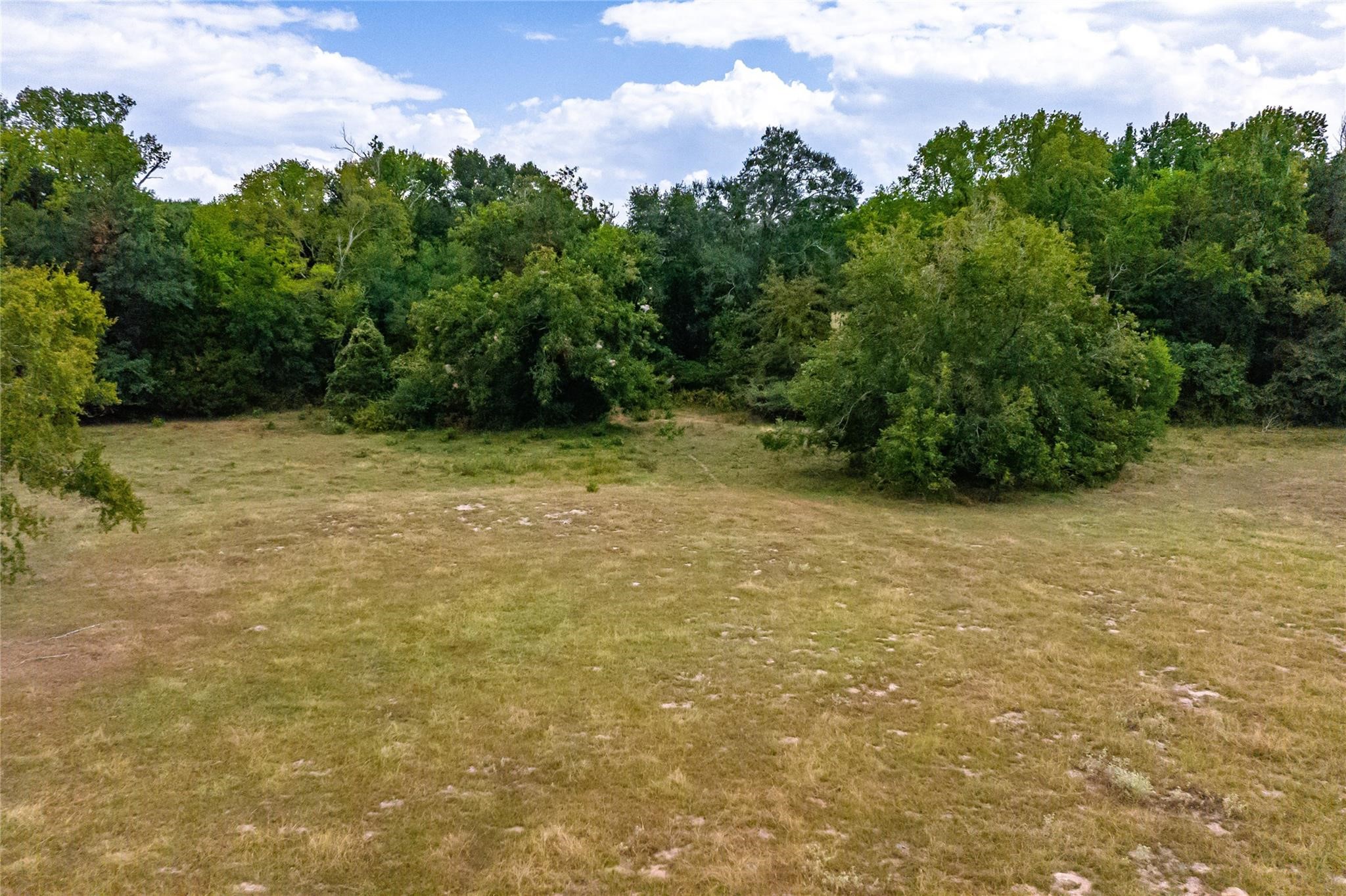 87 Acres Fm 269 Pickton TX 75471