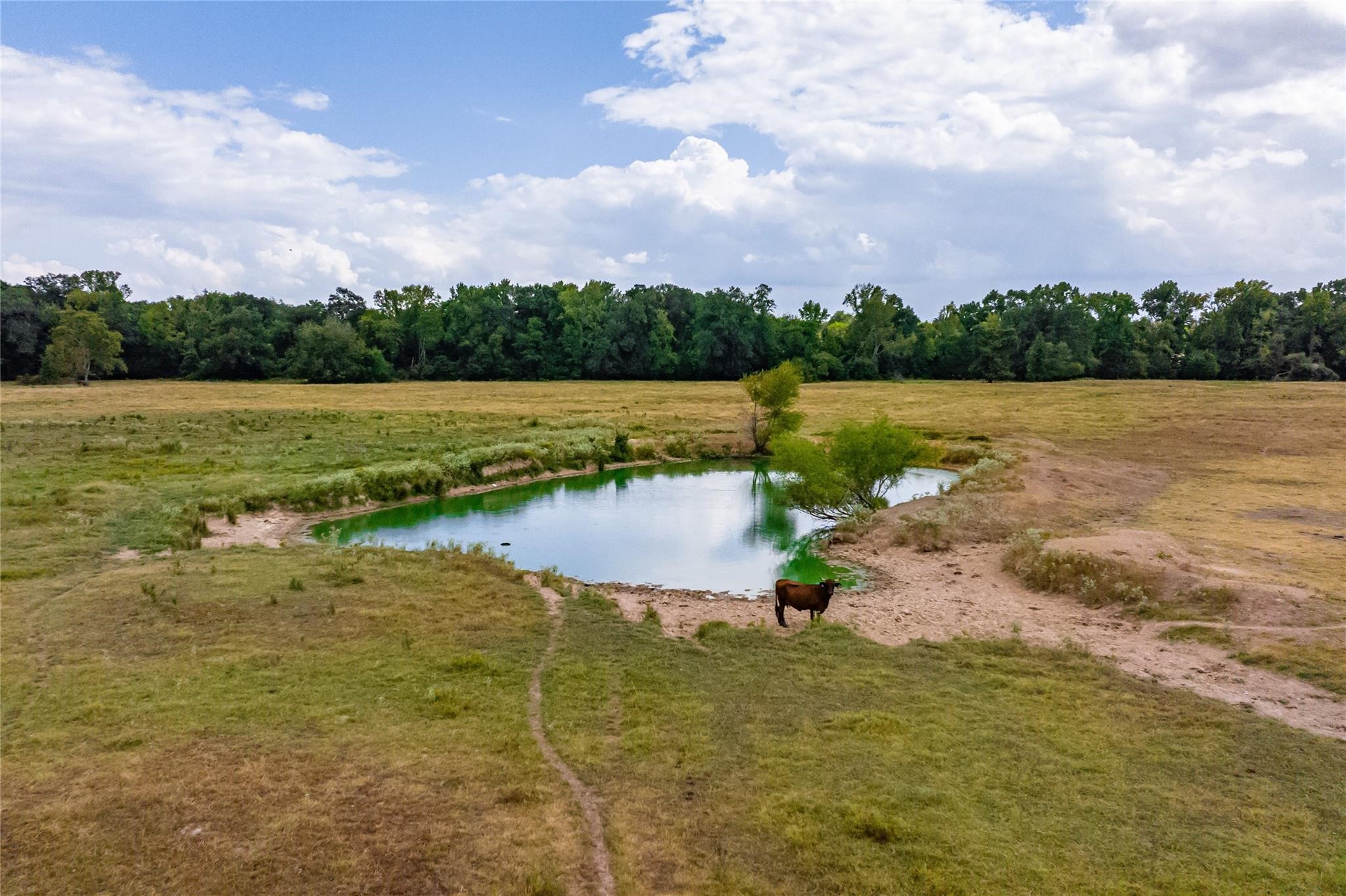 87 Acres Fm 269 Pickton TX 75471