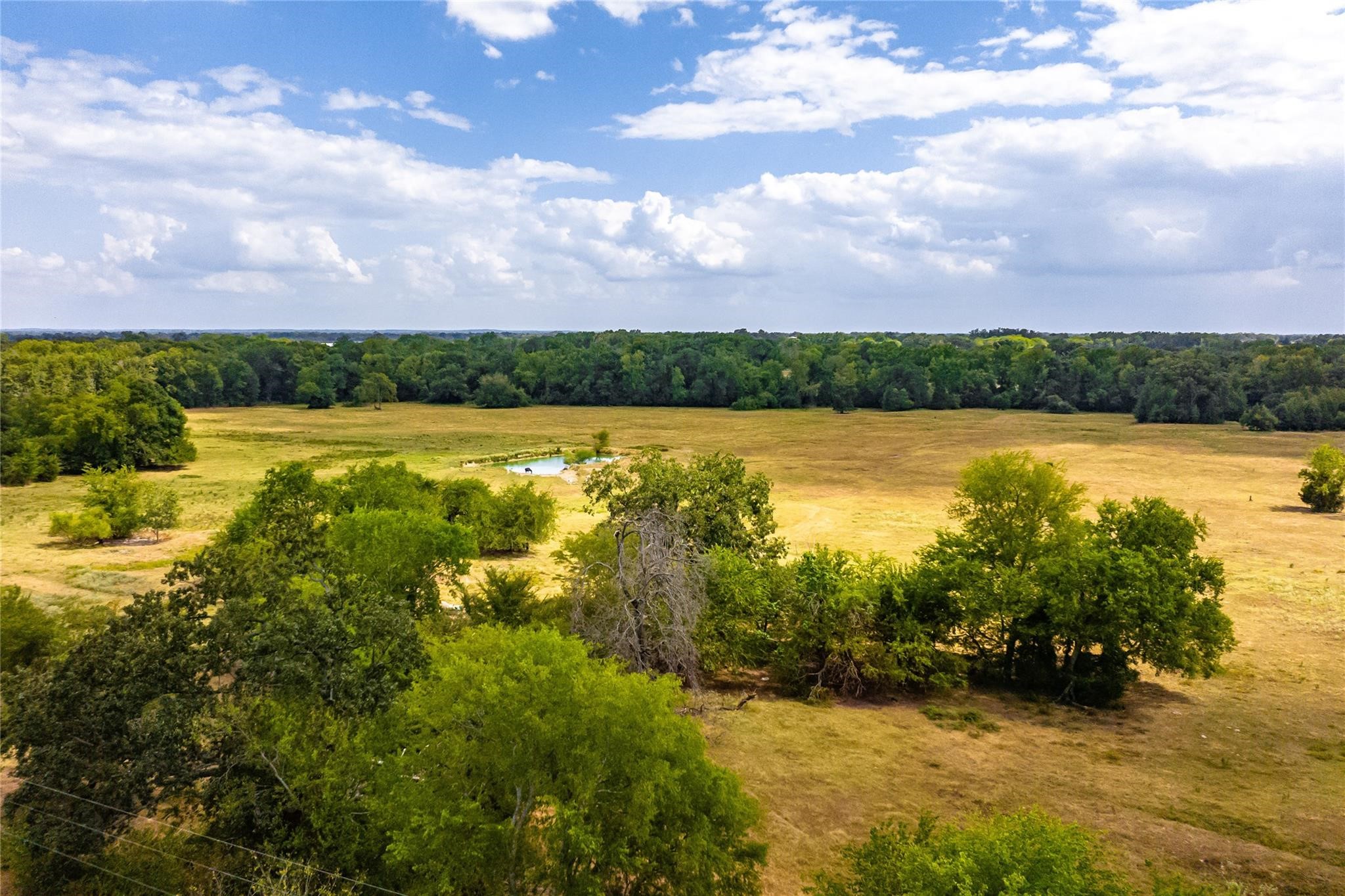 87 Acres Fm 269 Pickton TX 75471