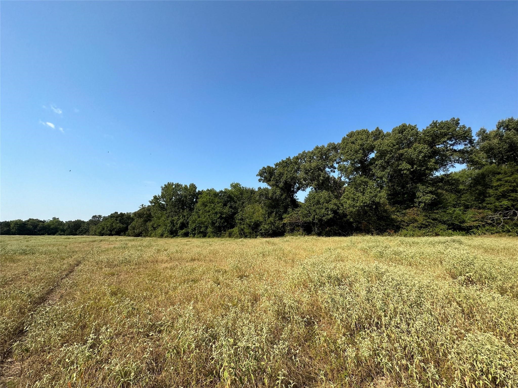 87 Acres Fm 269 Pickton TX 75471