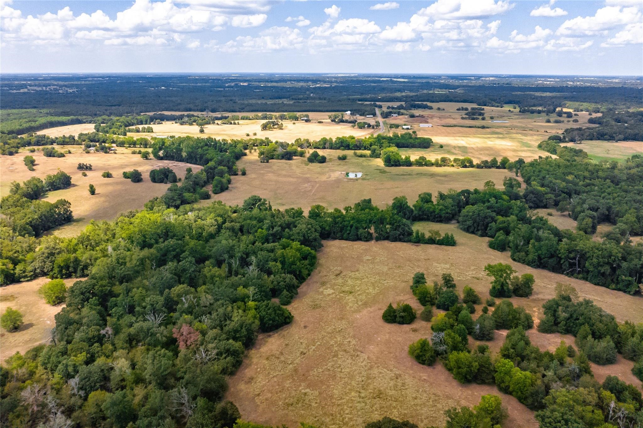 87 Acres Fm 269 Pickton TX 75471