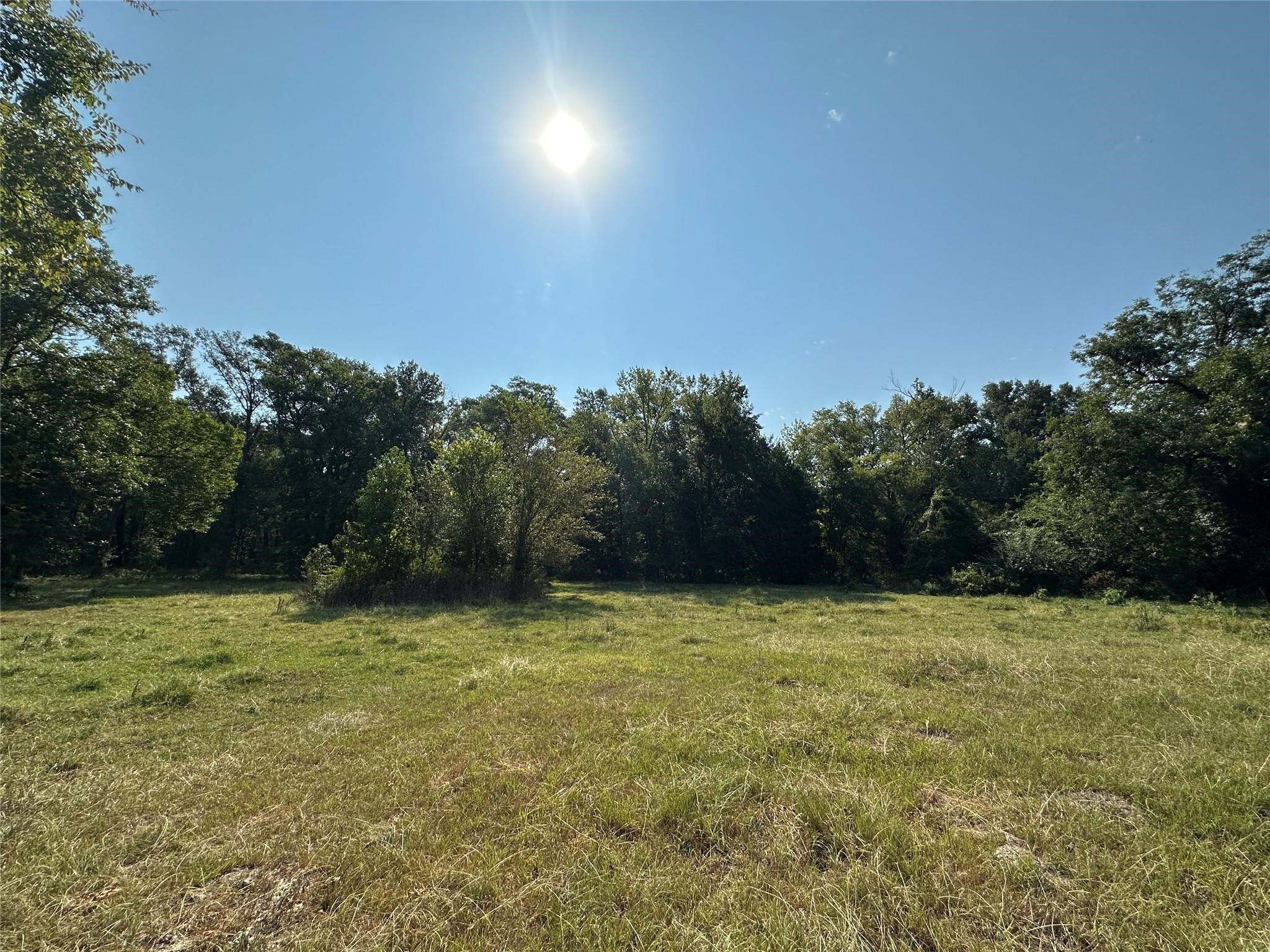 87 Acres Fm 269 Pickton TX 75471