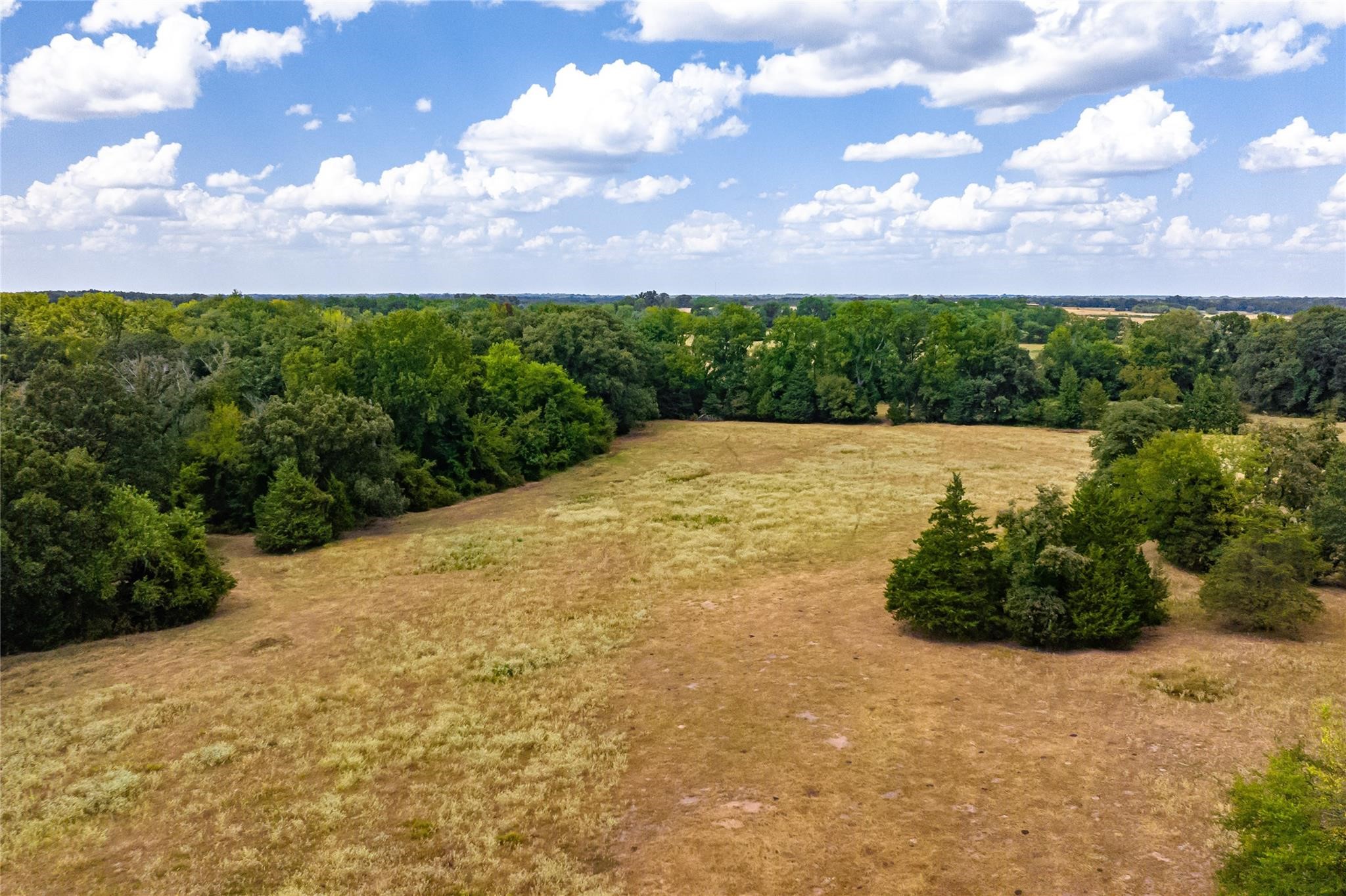87 Acres Fm 269 Pickton TX 75471