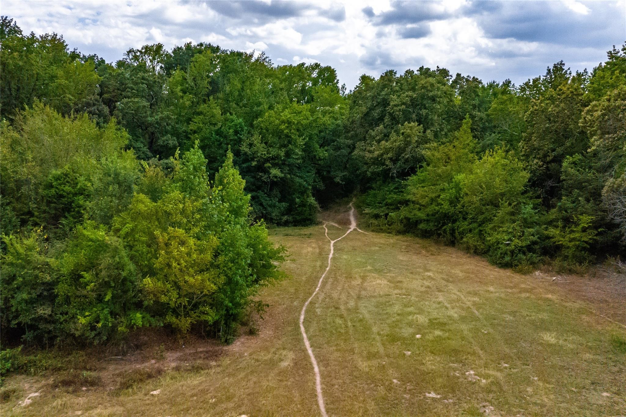 87 Acres Fm 269 Pickton TX 75471