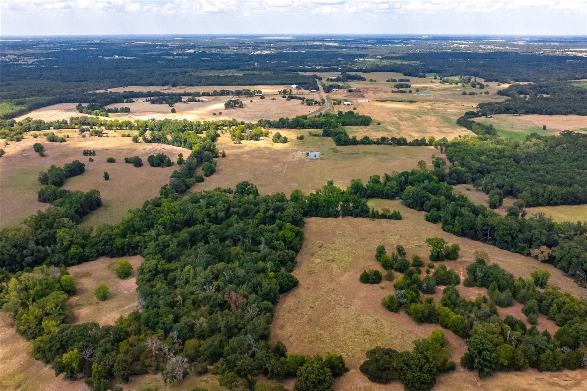 87 Acres Fm 269 Pickton TX 75471
