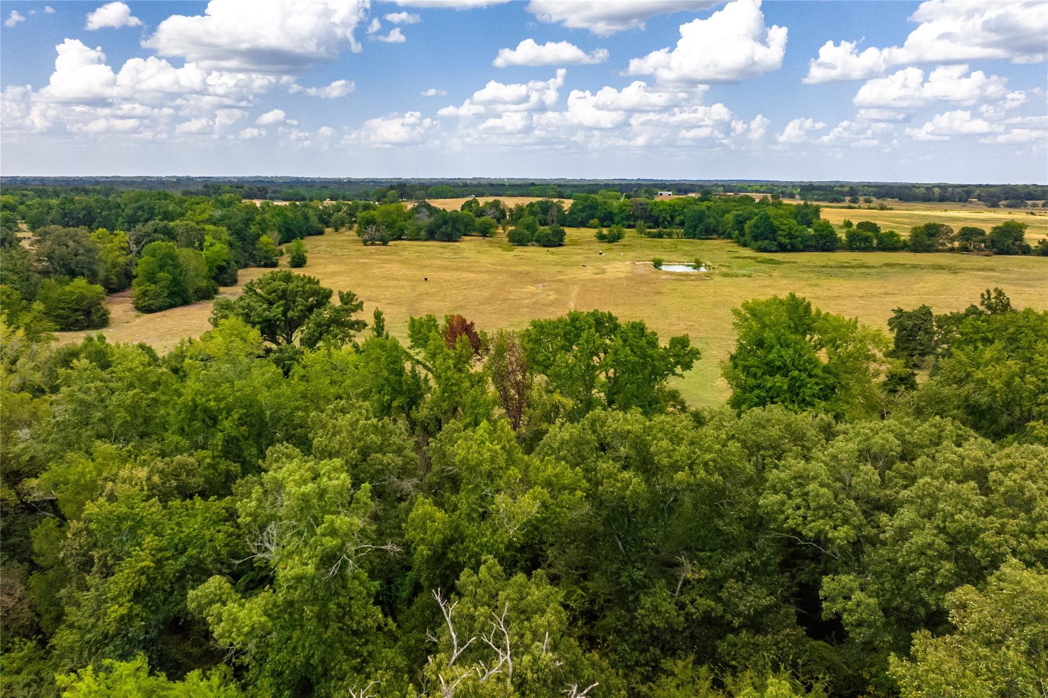 87 Acres Fm 269 Pickton TX 75471