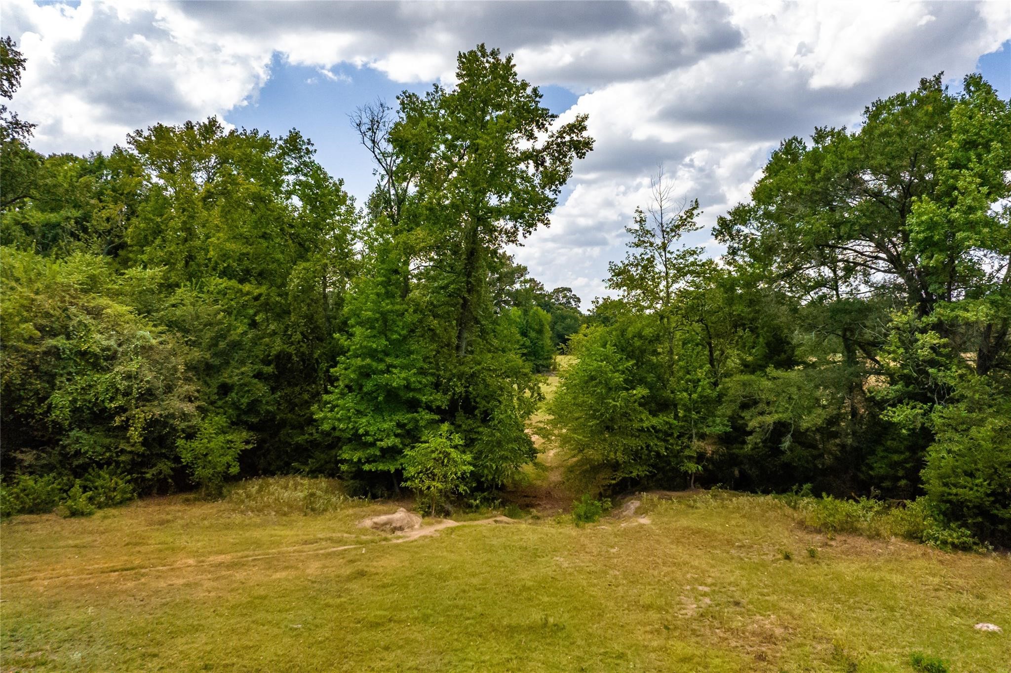 87 Acres Fm 269 Pickton TX 75471