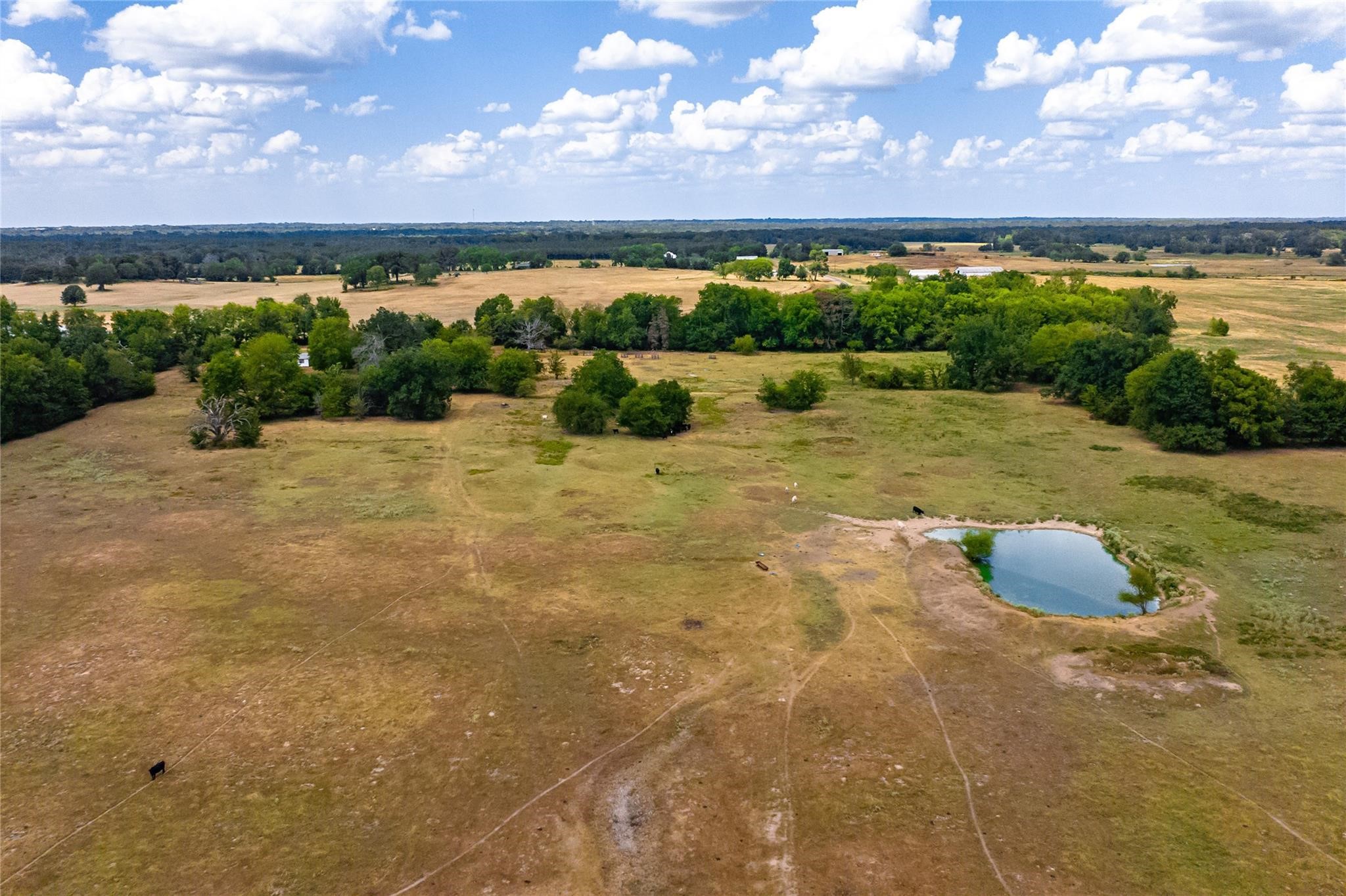 87 Acres Fm 269 Pickton TX 75471