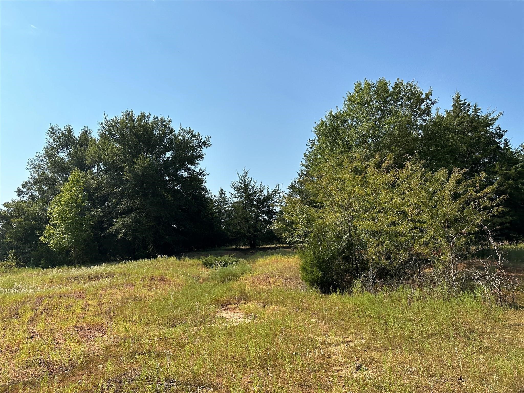 87 Acres Fm 269 Pickton TX 75471