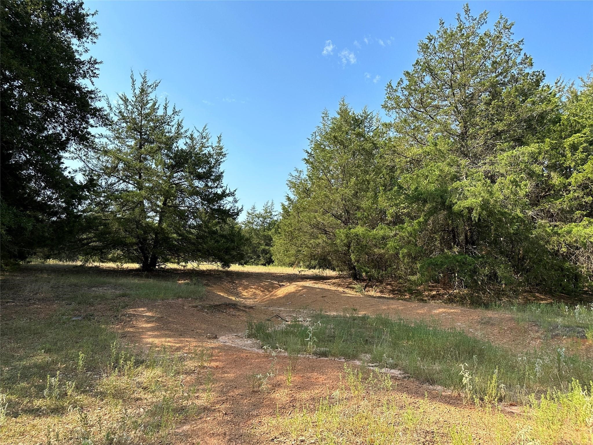 87 Acres Fm 269 Pickton TX 75471