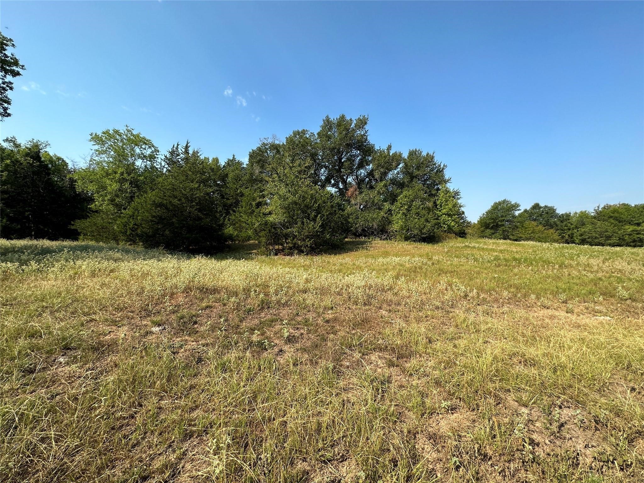 87 Acres Fm 269 Pickton TX 75471
