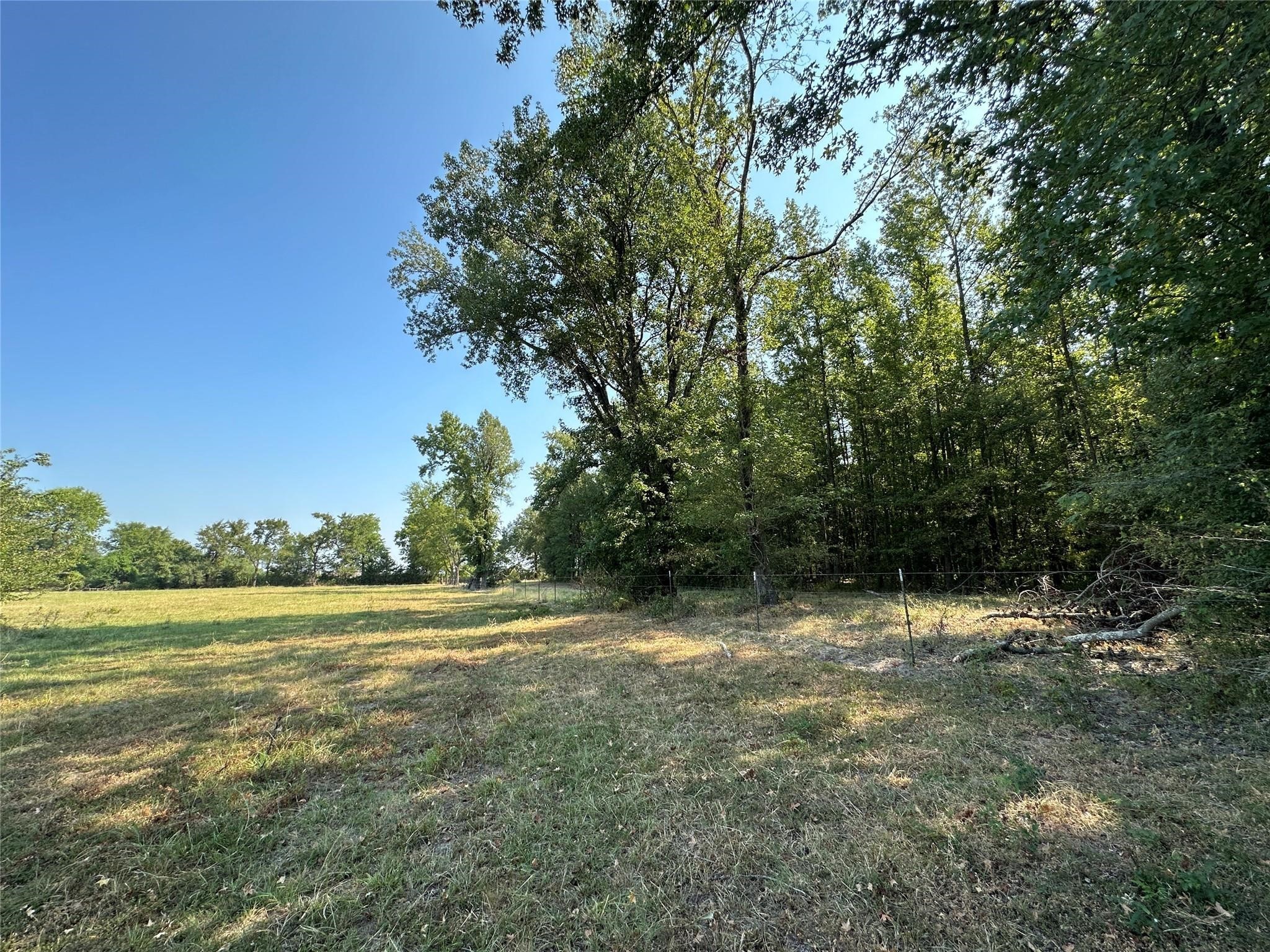 87 Acres Fm 269 Pickton TX 75471