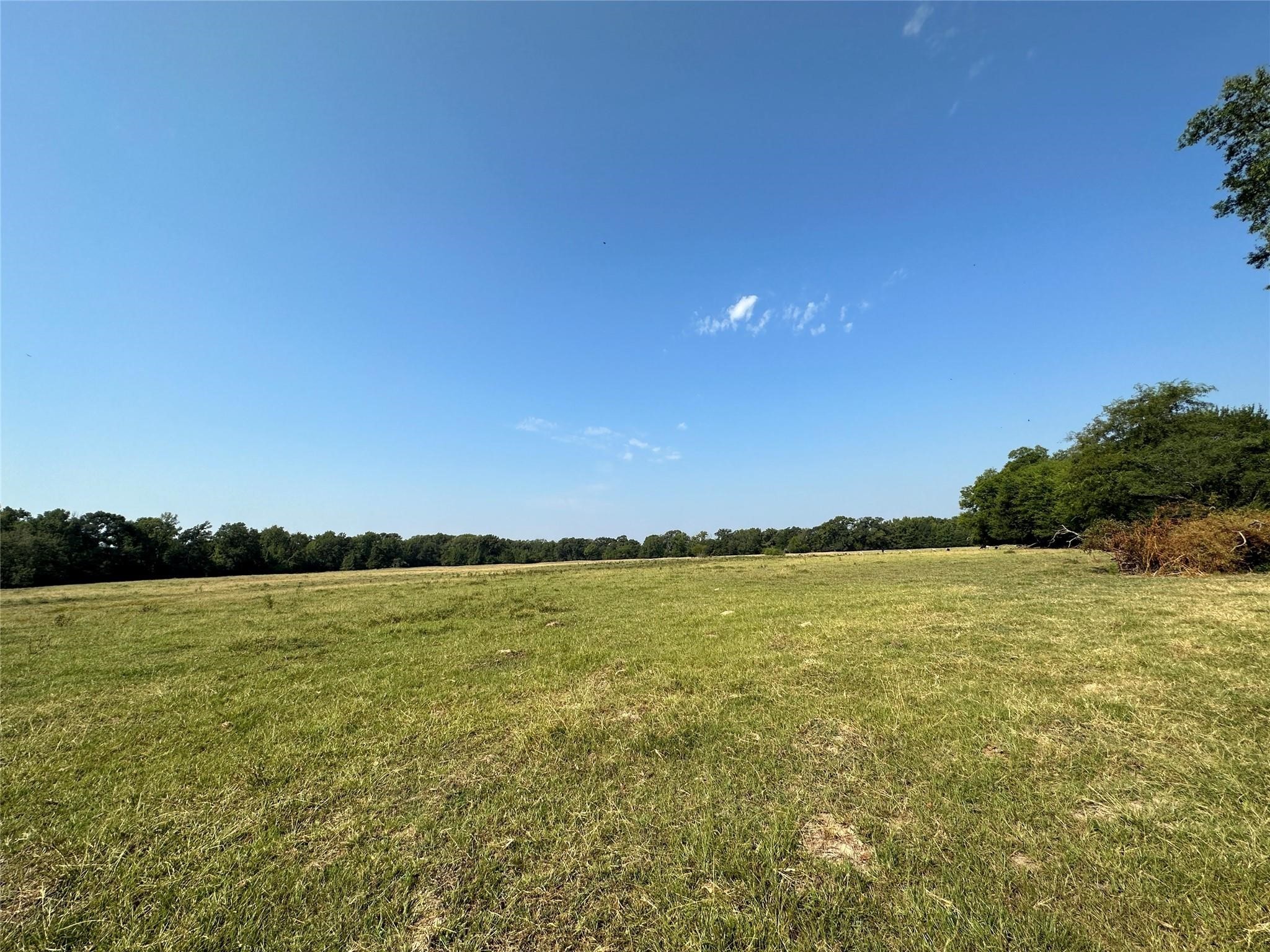 87 Acres Fm 269 Pickton TX 75471