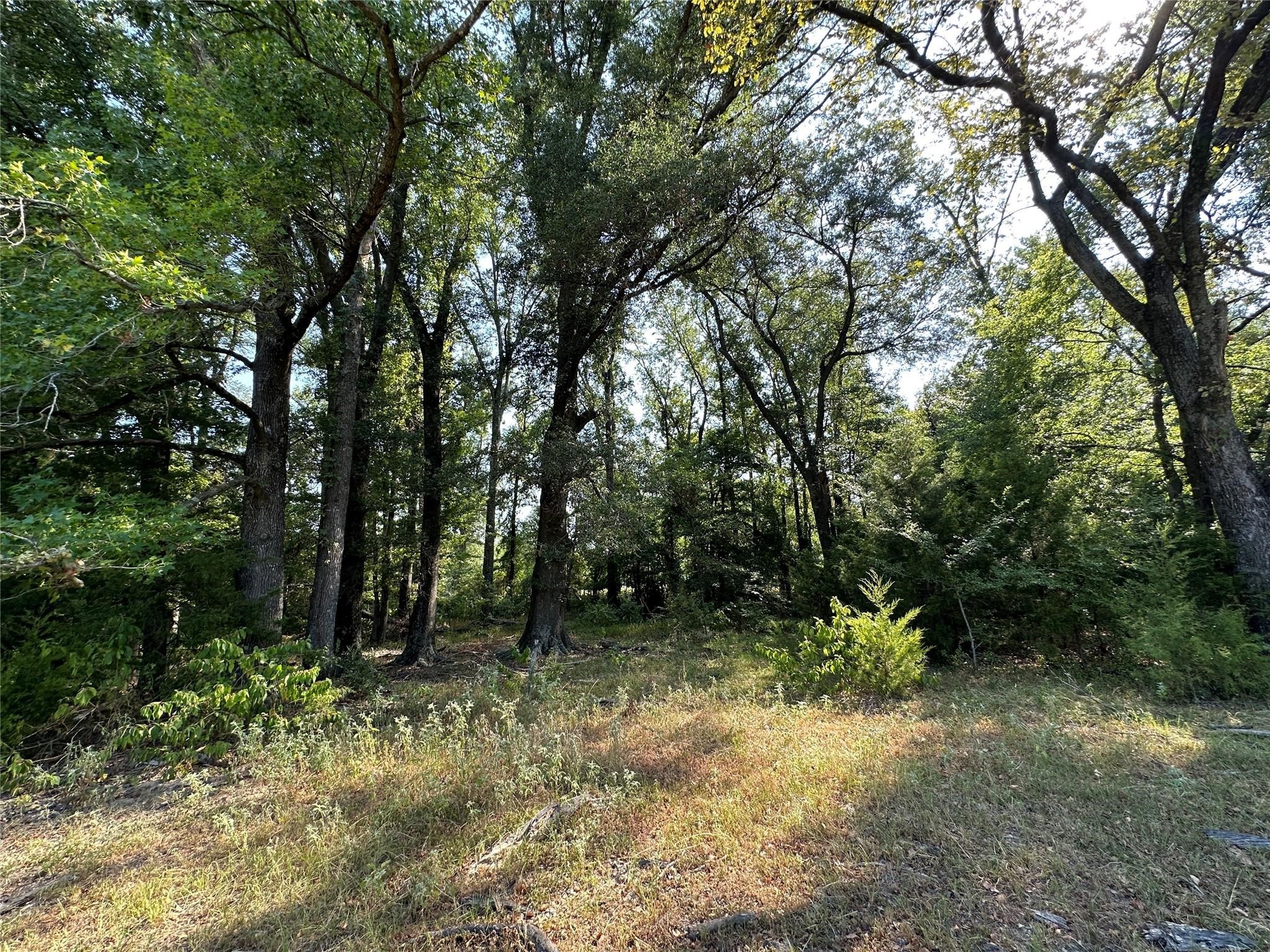 87 Acres Fm 269 Pickton TX 75471