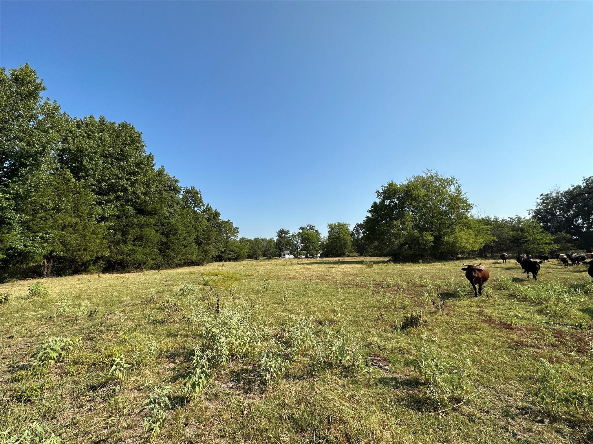 87 Acres Fm 269 Pickton TX 75471