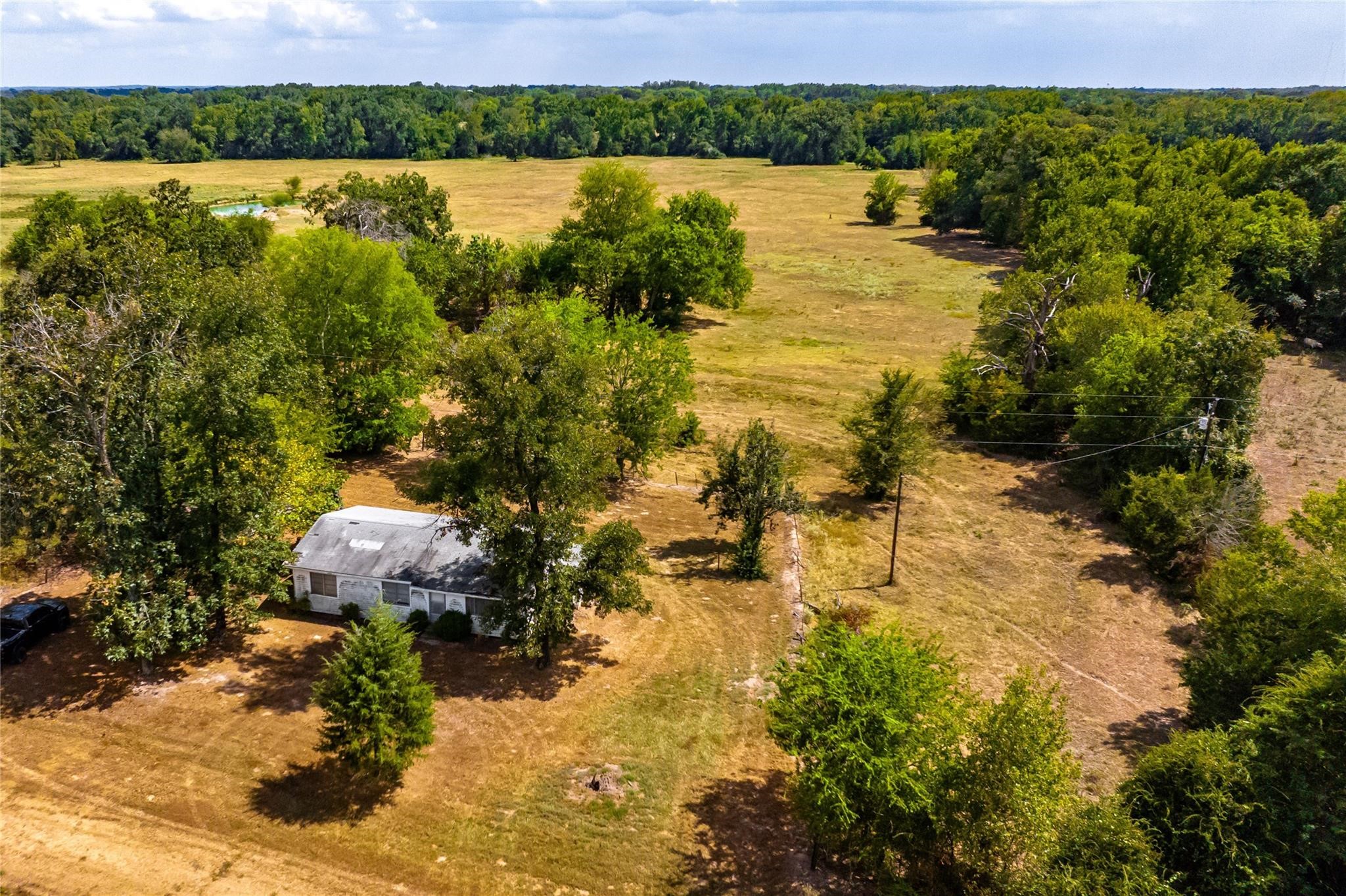 87 Acres Fm 269 Pickton TX 75471