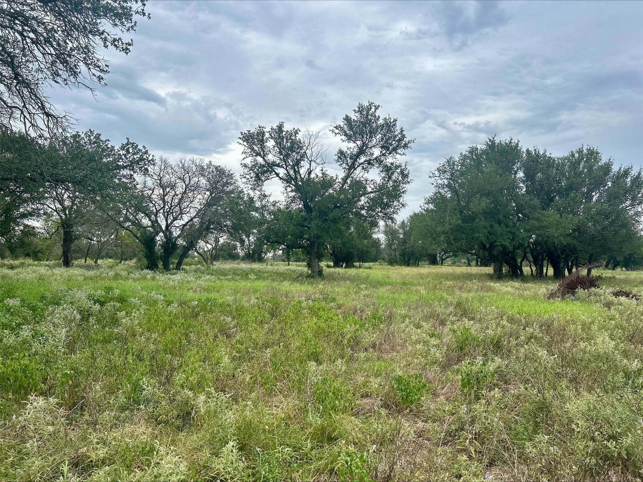 Lot 9 County Road 380 Dublin TX 76446