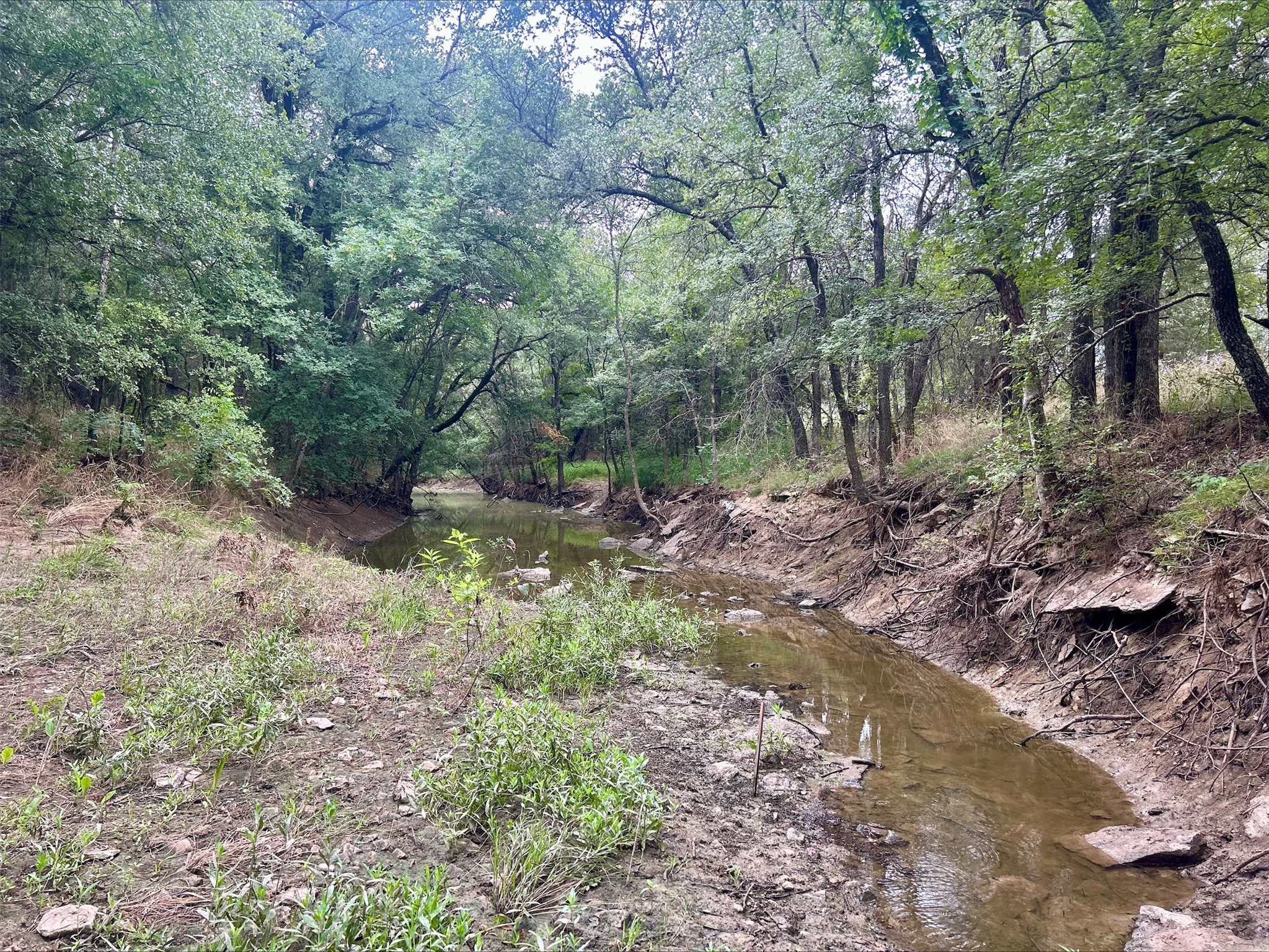 Lot 9 County Road 380 Dublin TX 76446