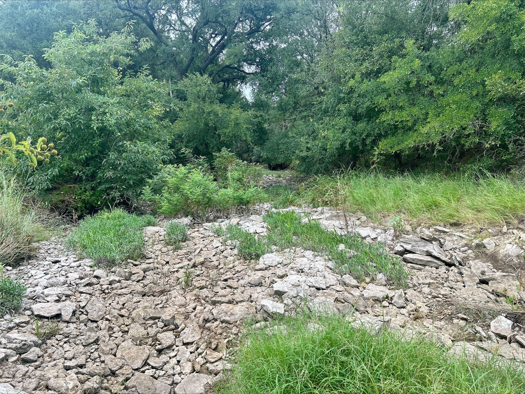 Lot 9 County Road 380 Dublin TX 76446