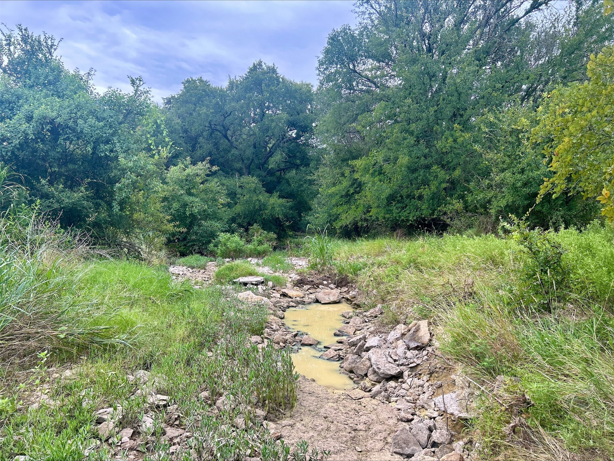 Lot 9 County Road 380 Dublin TX 76446