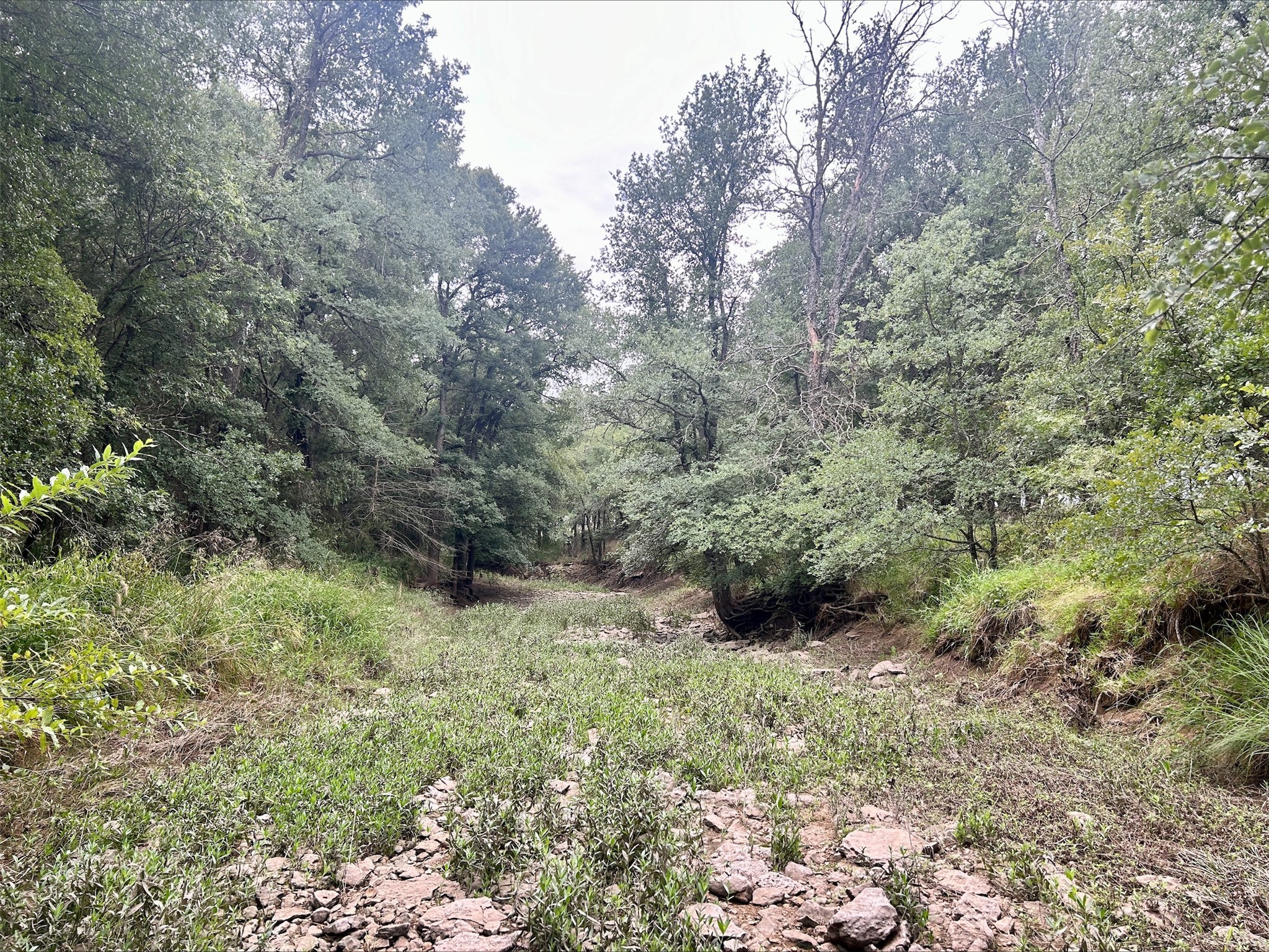 Lot 9 County Road 380 Dublin TX 76446
