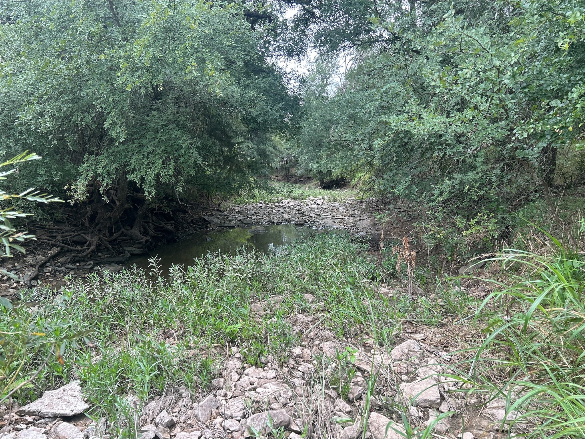 Lot 9 County Road 380 Dublin TX 76446