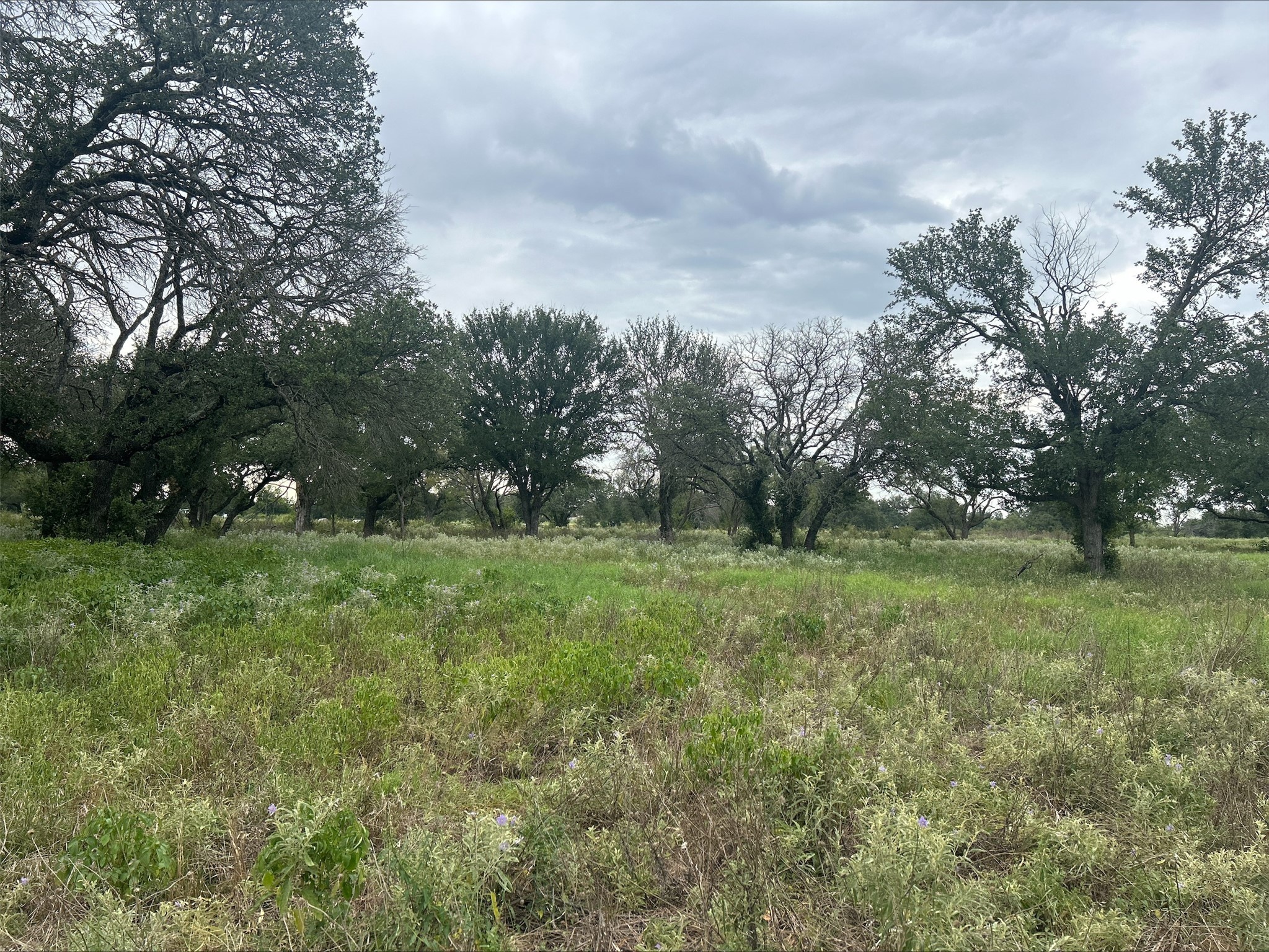 Lot 9 County Road 380 Dublin TX 76446