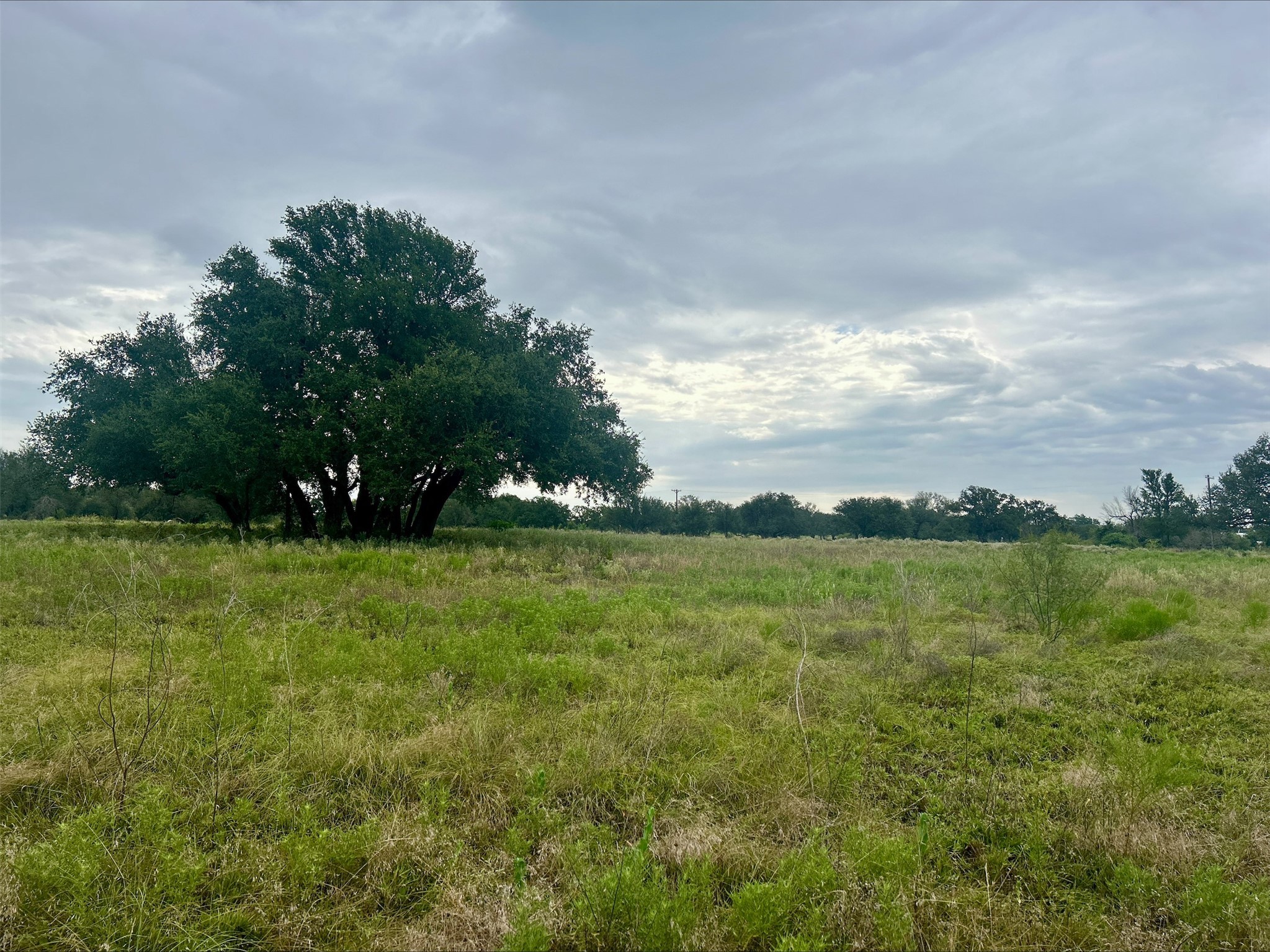 Lot 9 County Road 380 Dublin TX 76446