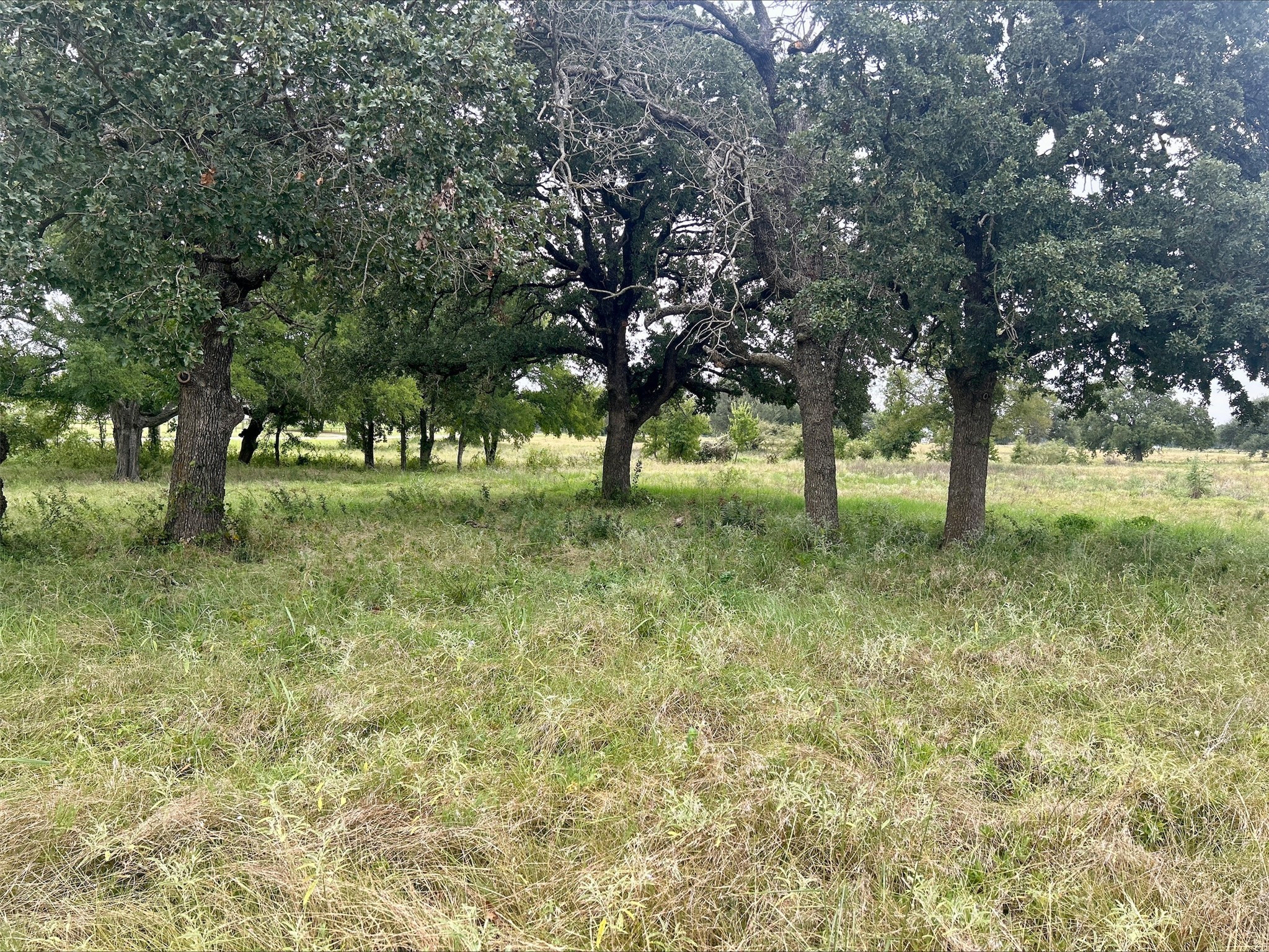Lot 9 County Road 380 Dublin TX 76446