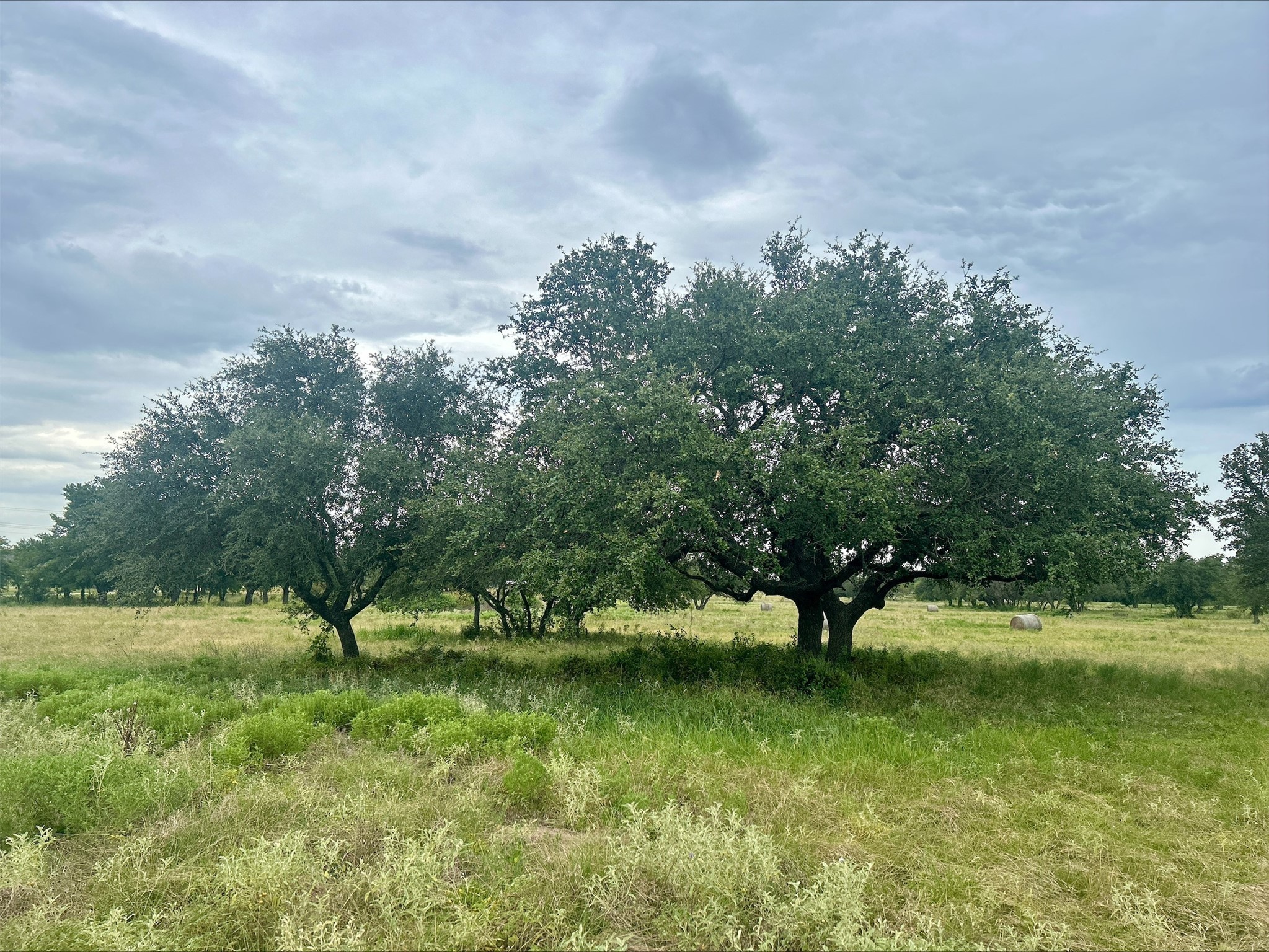 Lot 9 County Road 380 Dublin TX 76446