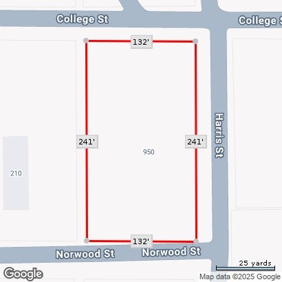 950 Harris Street Mingus TX 76463