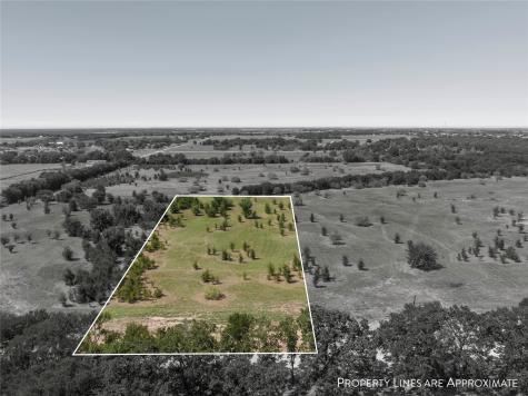 Lot 3 Buggtussle Lane West TX 76691